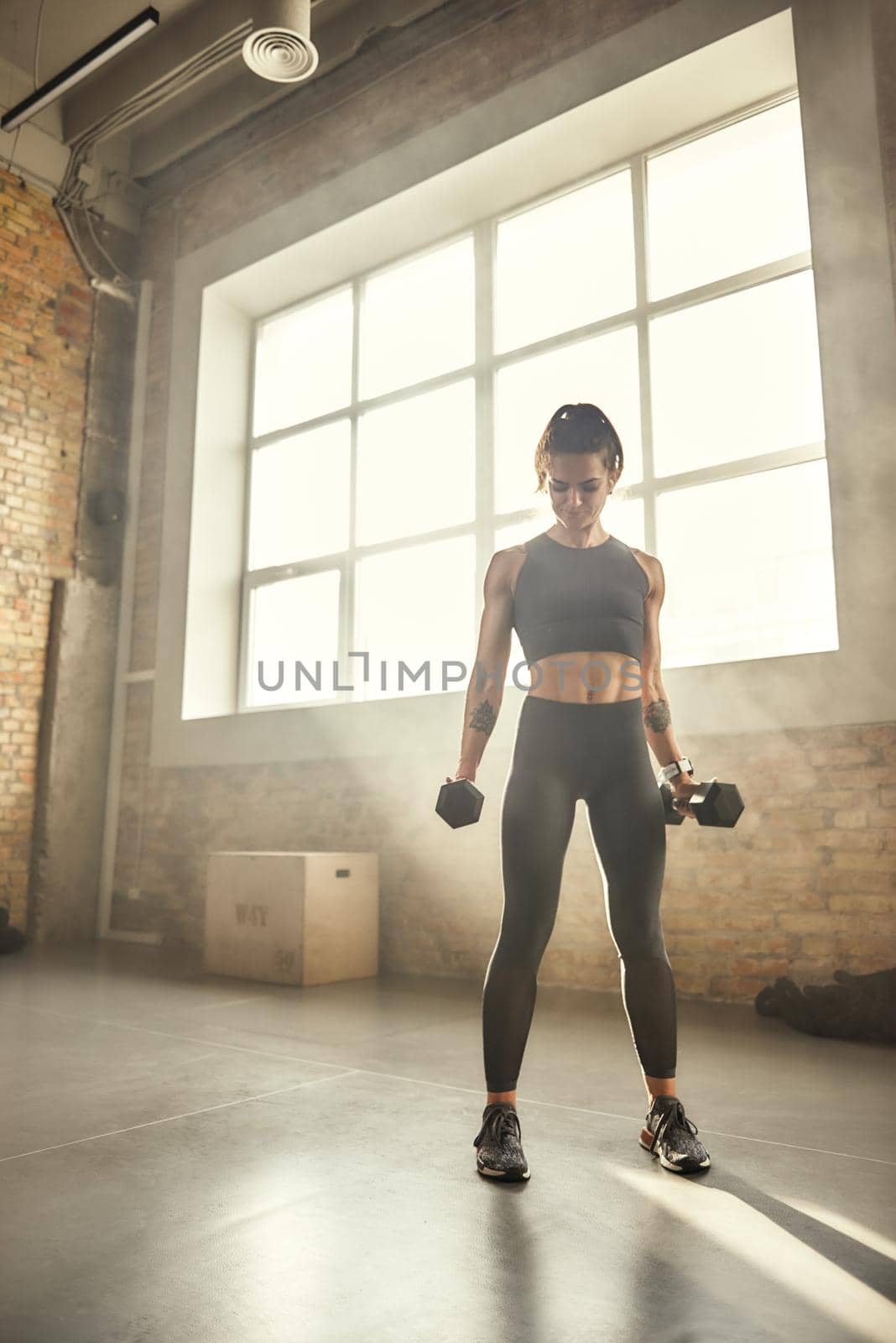 Working with weight. Young athletic woman in sportswear exercising with dumbbells while standing in front of window at gym. by friendsstock