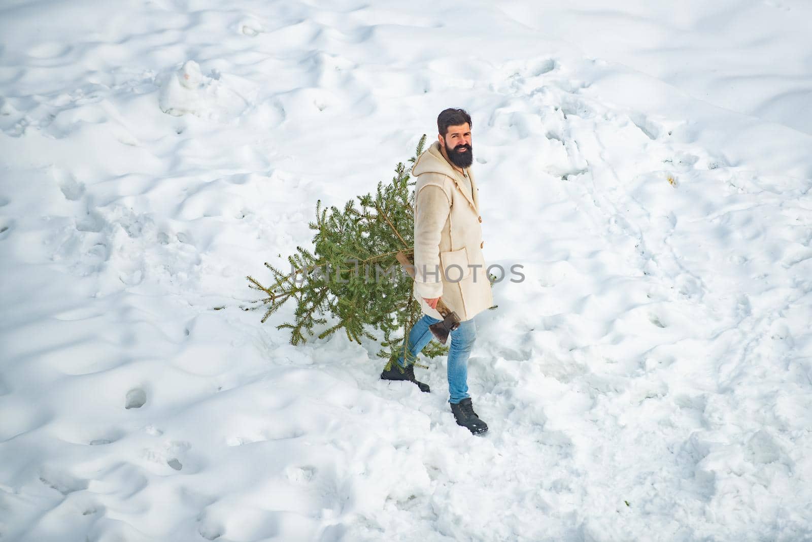 Man is going to cut a Christmas tree. Funny Santa man posing with axe and Christmas tree. Man with beard bears home a Christmas tree. Man is going to cut a Christmas tree. by Tverdokhlib