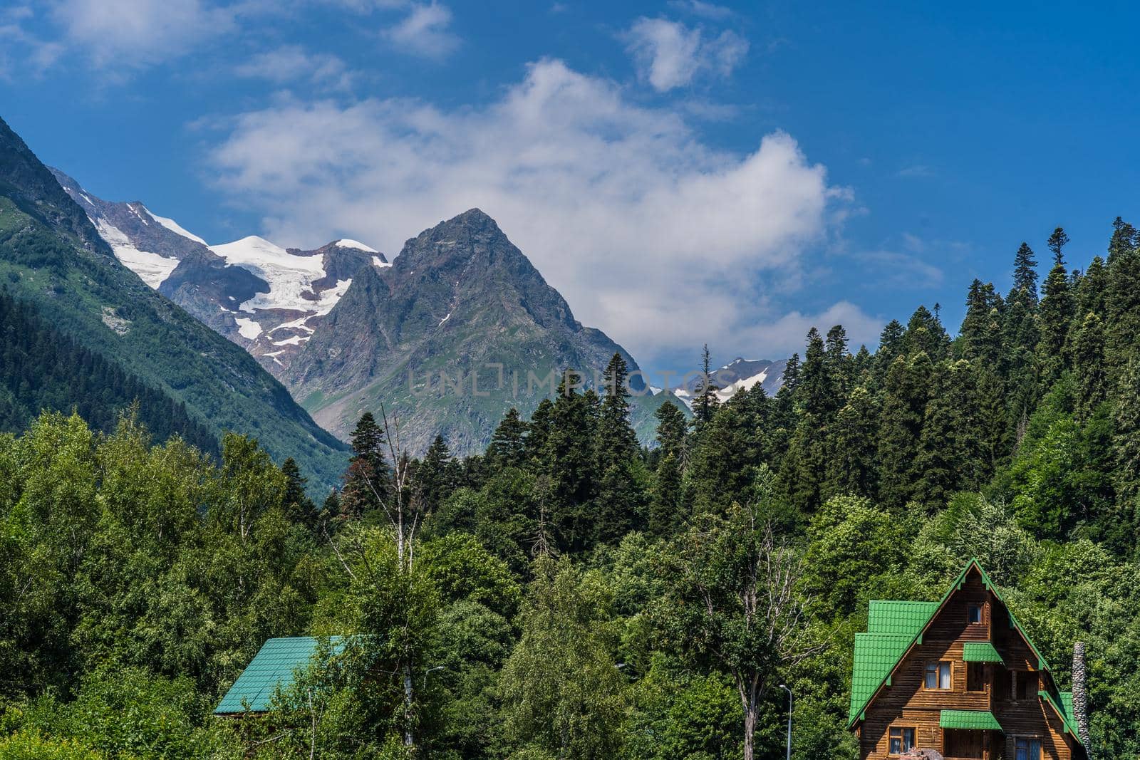 Beautiful landscape of glacier in summer season. Glacier mountain with green vegetation on high ground in cloudy weather. by epidemiks