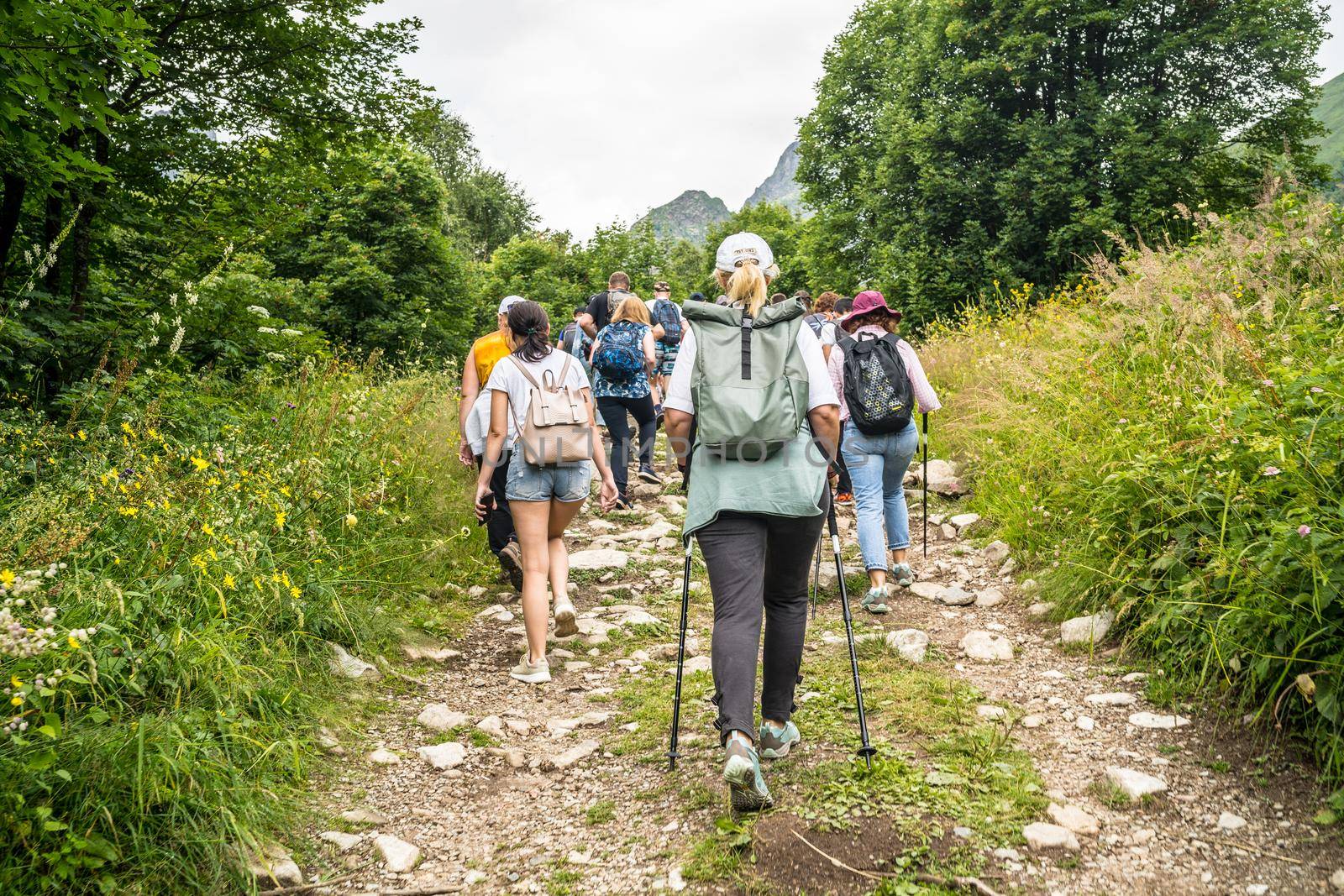 Dombay, Russia 26 July 2020: Group of people go hiking in wooded and hilly area. Rear view of woman engaged in nordic walking on rocky path. by epidemiks