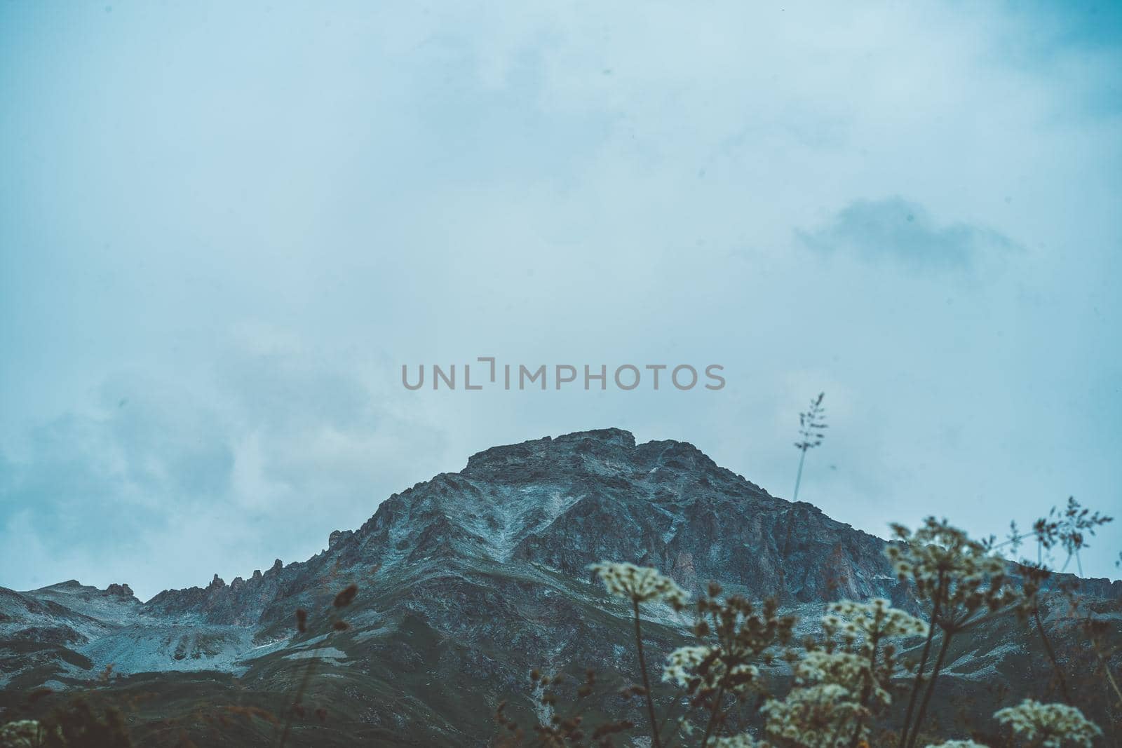 Glacier mountain with green vegetation on high ground in cloudy weather.