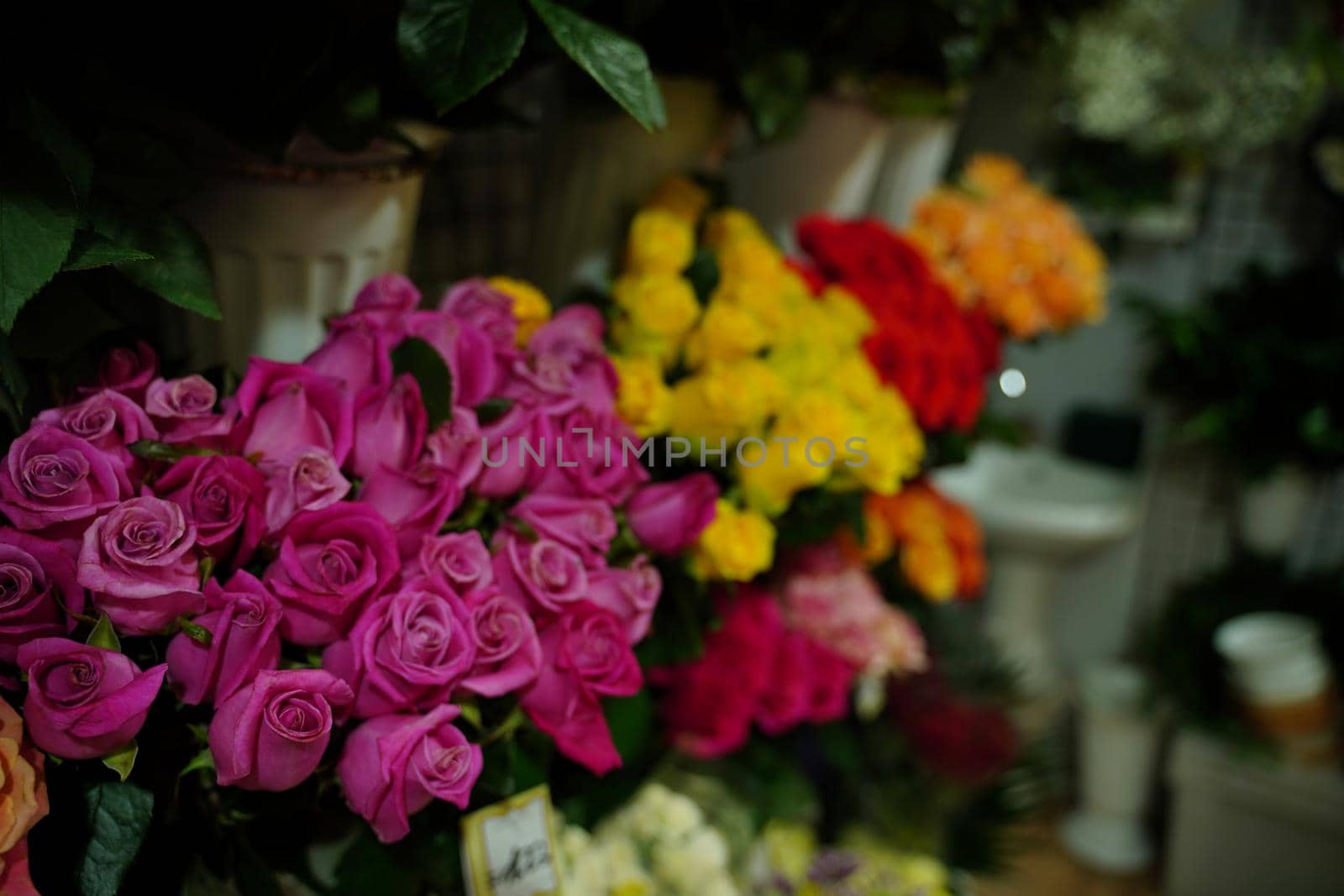 Bouquets of various flowers on counter. Fresh beautiful flowers in florist shop