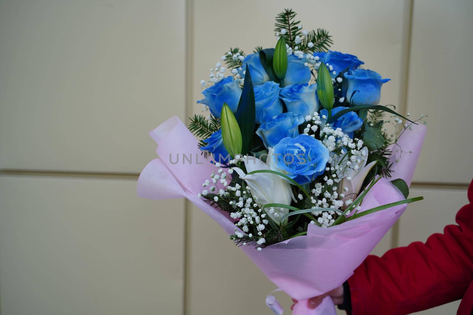 Close up of woman's hand holds colorful bouquet of flowers. Unrecognizable female holding flower composition of blue roses and white lilies in wrapping paper. by epidemiks