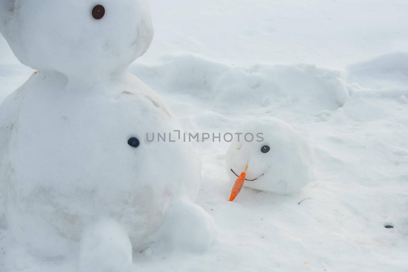 Melted snowman in puddle. Bad warm rainy winter weather. Snowman in our yard. Is my first snowman. Lonely snowman melting after Christmas