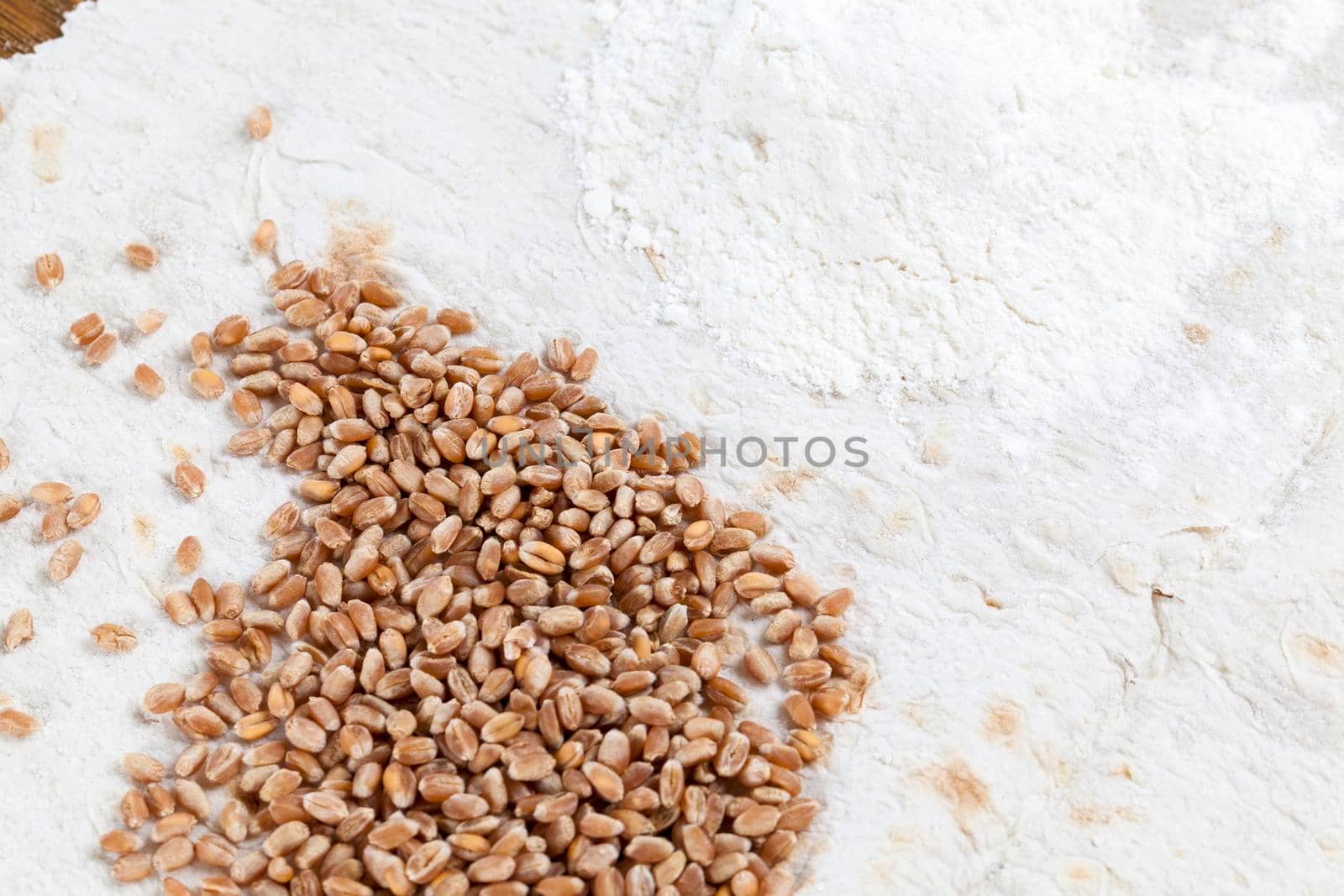 white flour and wheat grain lying together on white thin bread, close-up