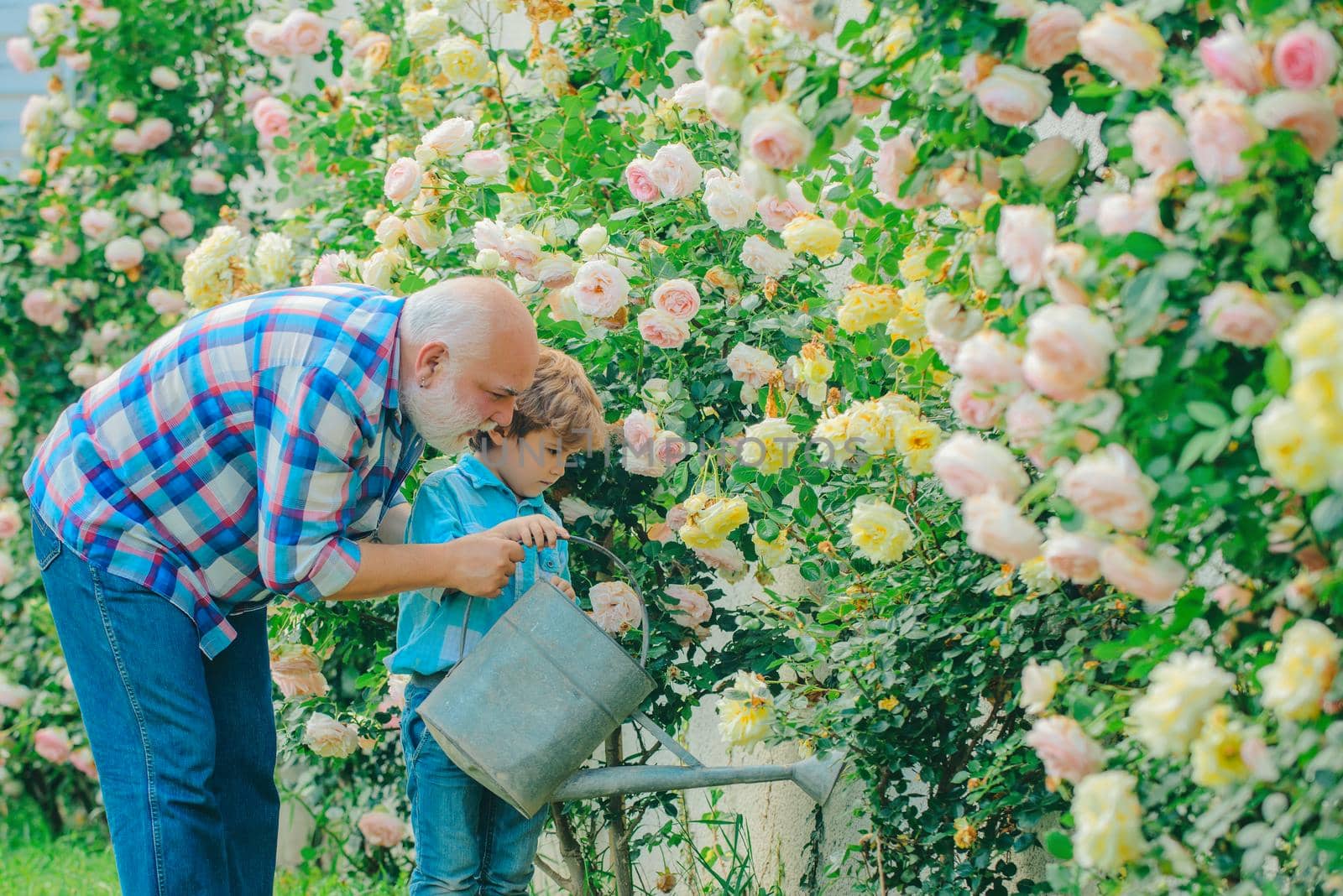 Planting flowers. Grandfather and grandson in beautiful garden. Little helper in garden. Father and son. Grandfather talking to grandson. Senior gardener. by Tverdokhlib