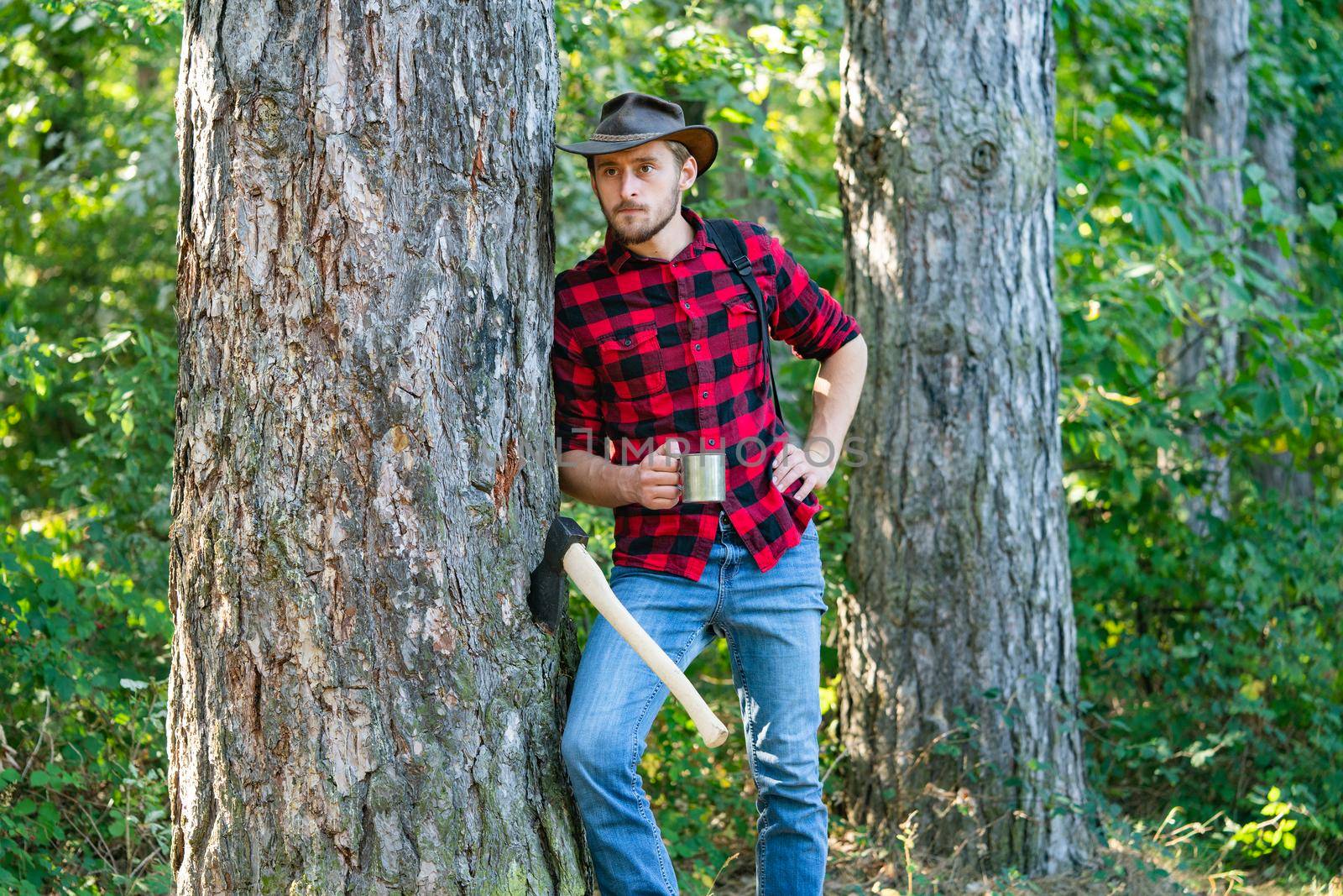 Harvest of timber. Bearded man with axe concept. Deforestation. Handsome Woodworkers lumberjack plaid shirt holding the axe on green nature background