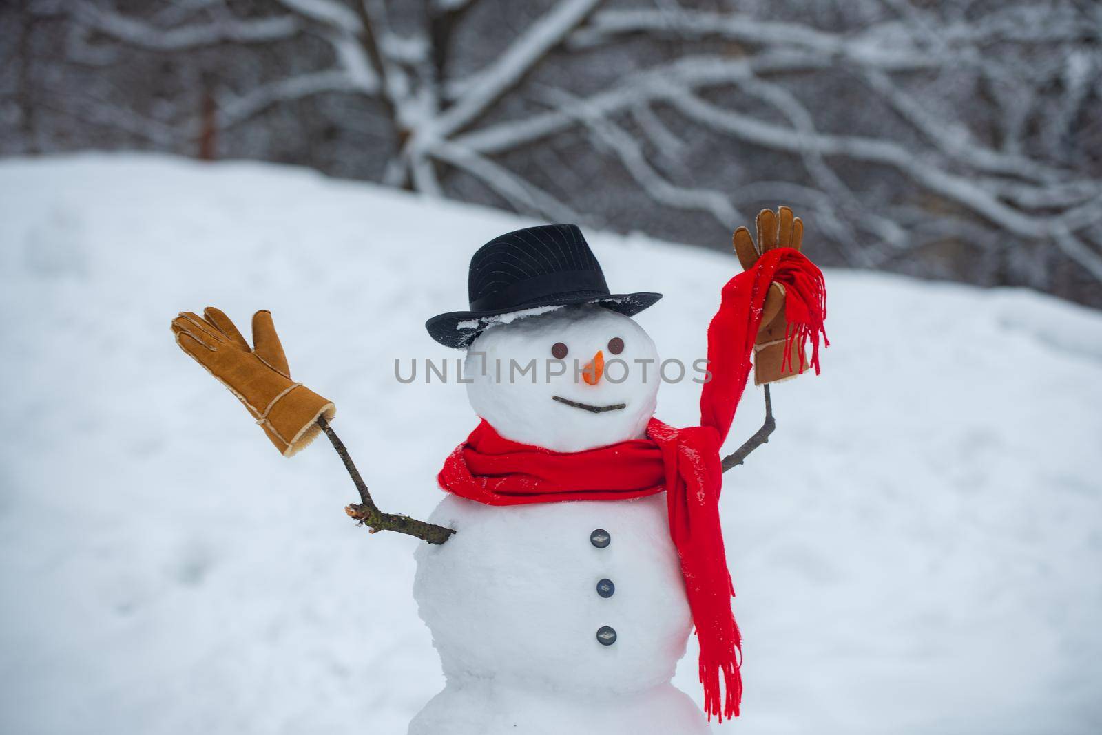 Snowman in snow forest. Snowman wish you Merry Christmas and Happy Holidays. Snowman and snow day. Winter background with snowflakes and snowman. Merry Christmas and Happy new year