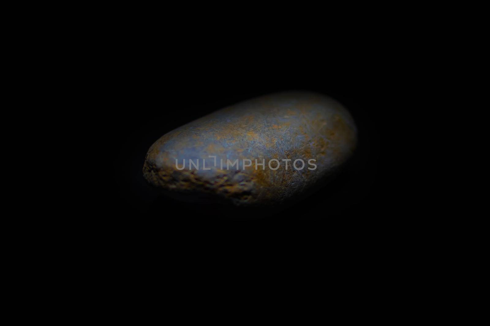 one beautiful sea stone on a black background.