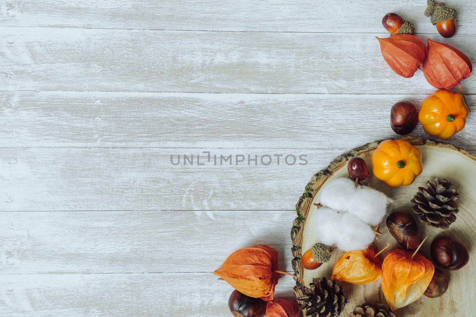 Autumn composition. Chestnuts, pine cones, physalis, acorn on wooden background. Flat lay copy space