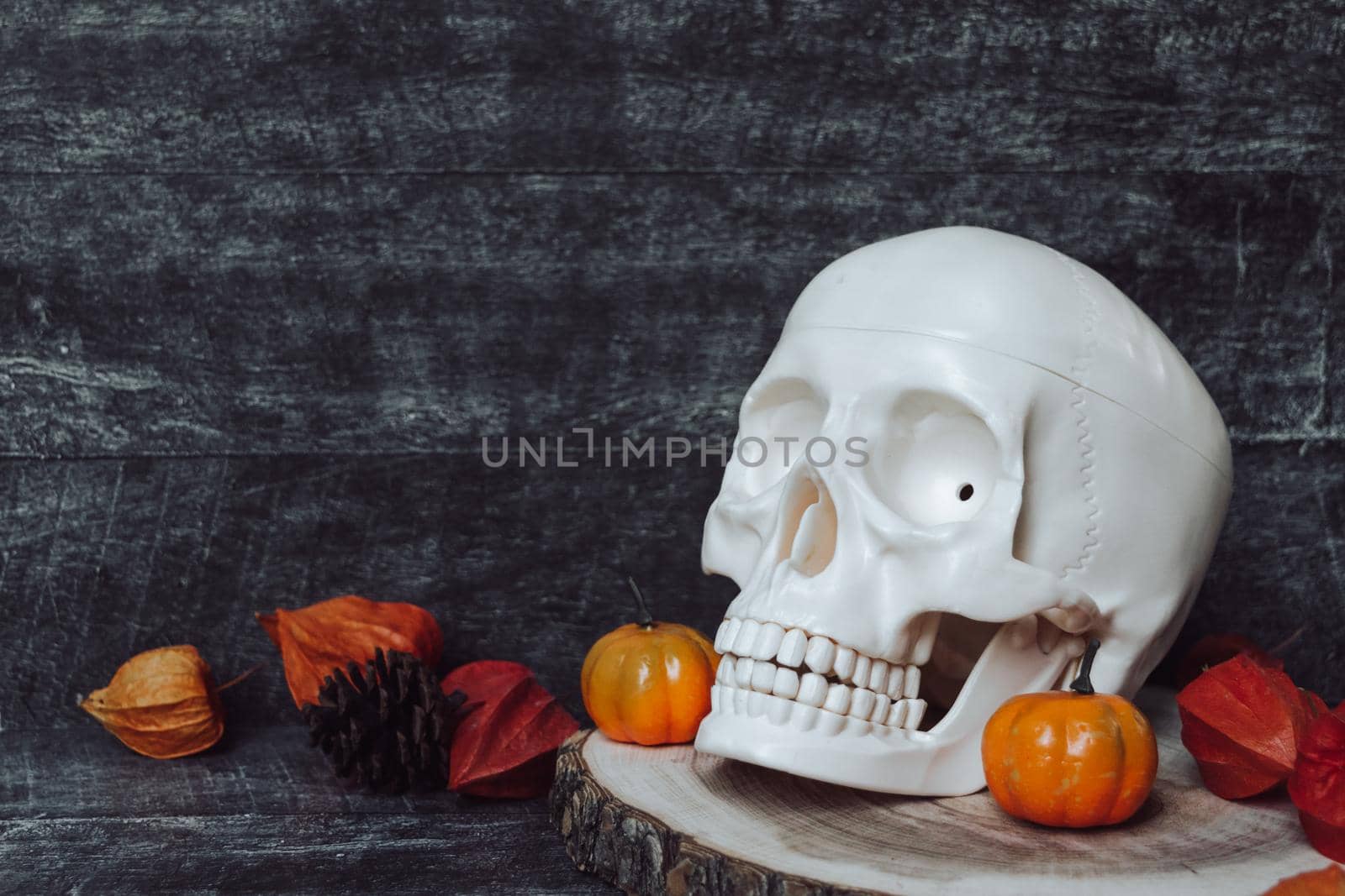 Halloween Weekends. Halloween decorations. Pumpkin with skull. Halloween Scene on wooden background