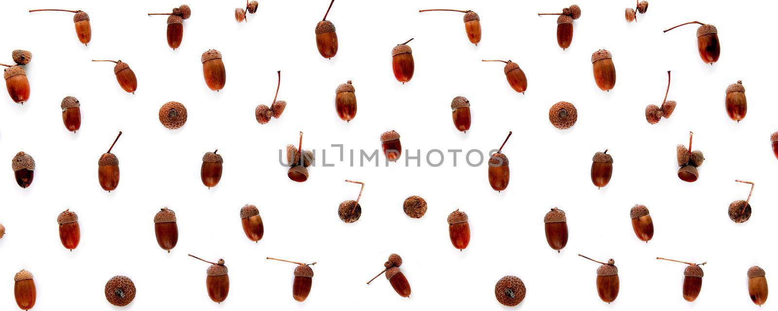 Autumn pattern made of brown dried leaves and acorns isolated on white background. Template mockup fall, halloween, harvest thanksgiving concept. Flat lay, top view, copy space banner.