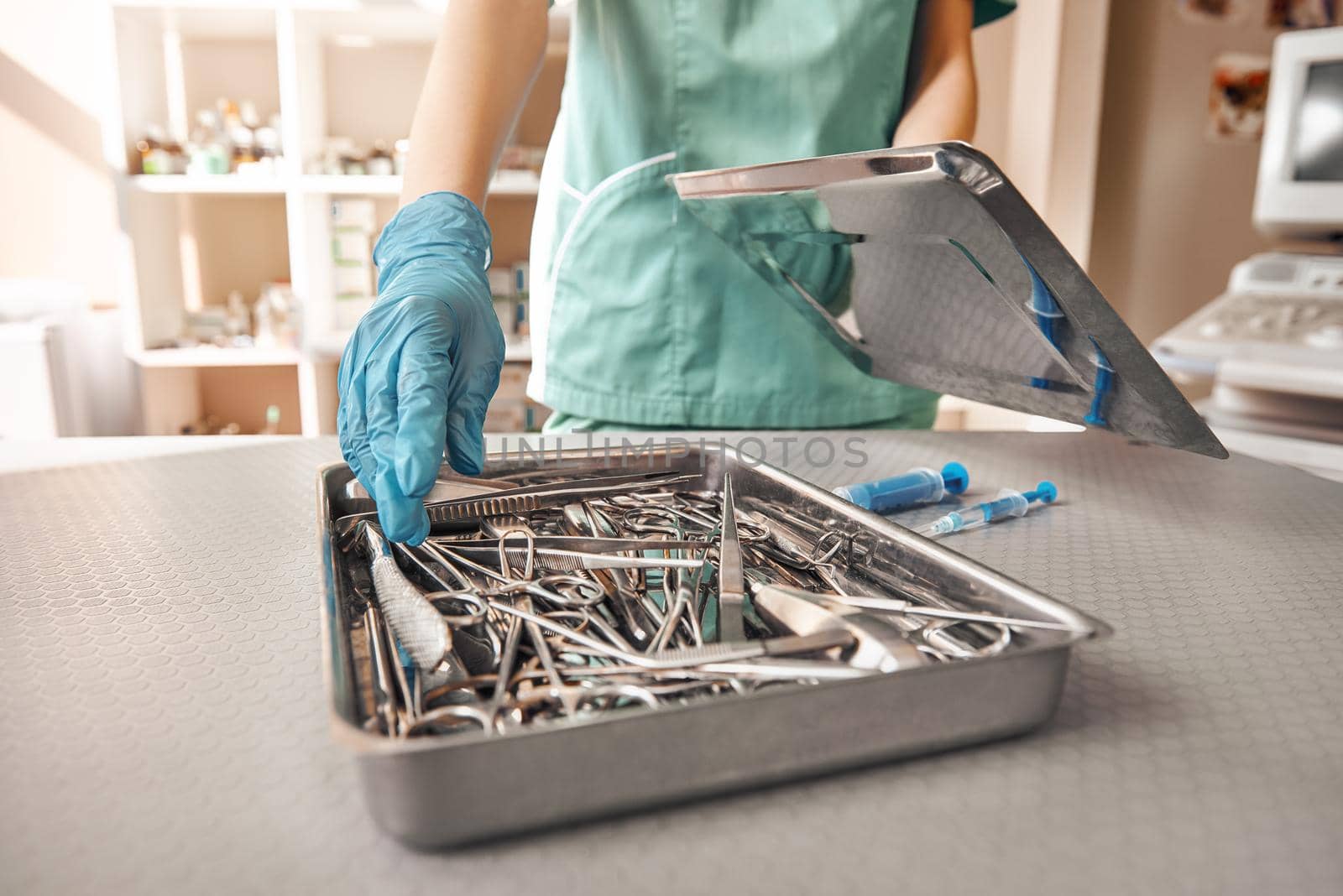 Vet tool kit. Photo of vet hands in protective gloves taking the necessary tool that are needed to work with the patient in the veterinary clinic. Medicine concept. Animal hospital. Medical equipment