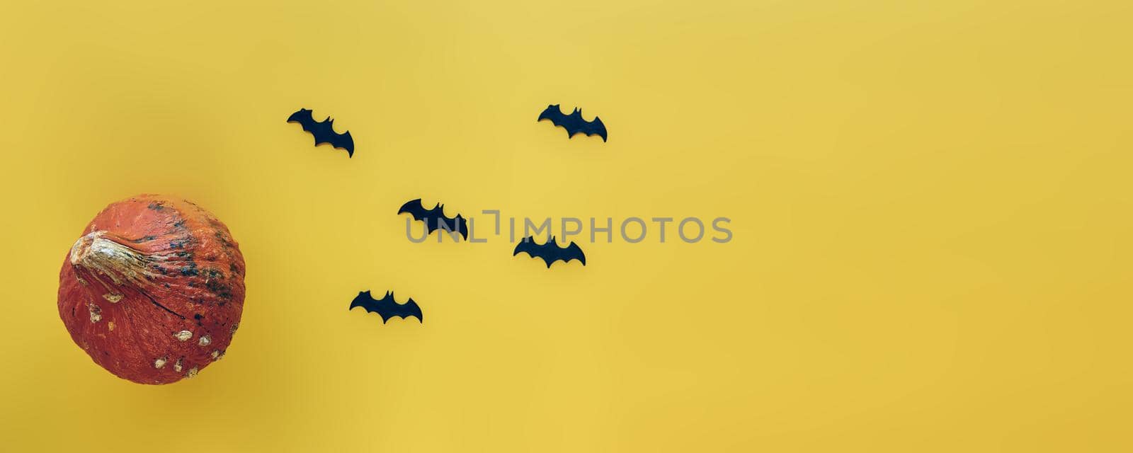 Autumn composition. Pumpkins and decorative bats background. Template autumn, fall, halloween, harvest thanksgiving concept. Flat lay, top view, copy space banner.