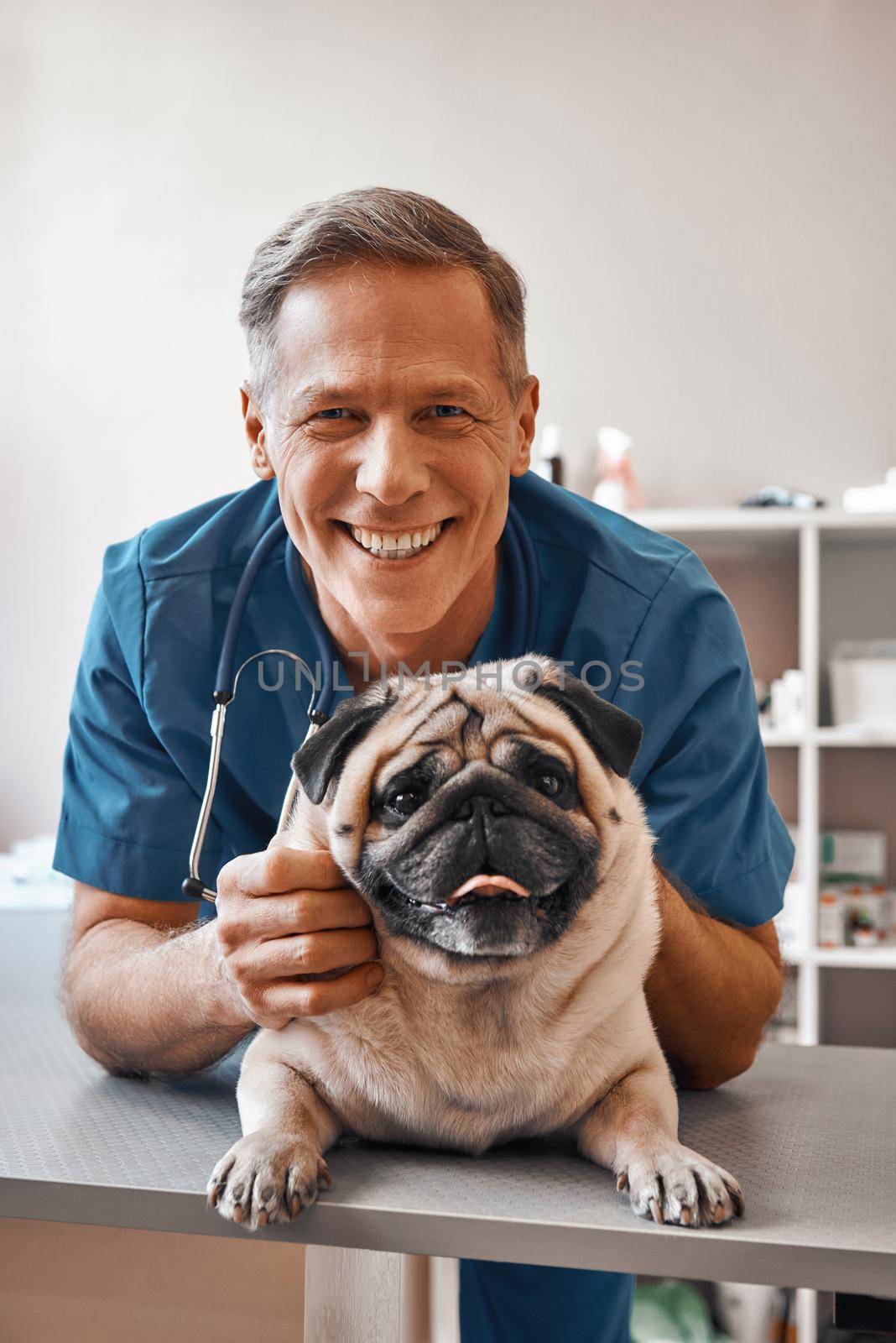 Smile Cheerful middle aged vet holding a pug and smiling at camera while standing at veterinary clinic by friendsstock