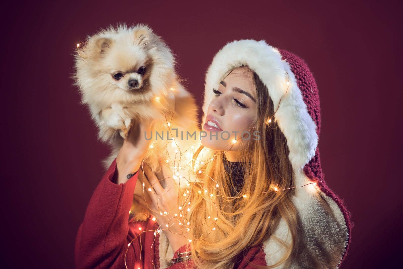 Sexy girl with pomeranian spitz dog at xmas. Christmas party and winter holiday. New year of dog, miracle and gift wonder. woman in santa costume with pet by Tverdokhlib