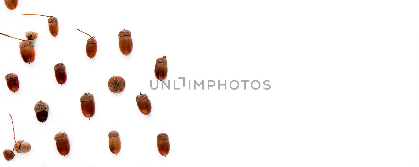 Autumn composition. Frame made of brown dried leaves and acorns isolated on white background. Template mockup fall, halloween, thanksgiving concept. Flat lay, top view, copy space banner.