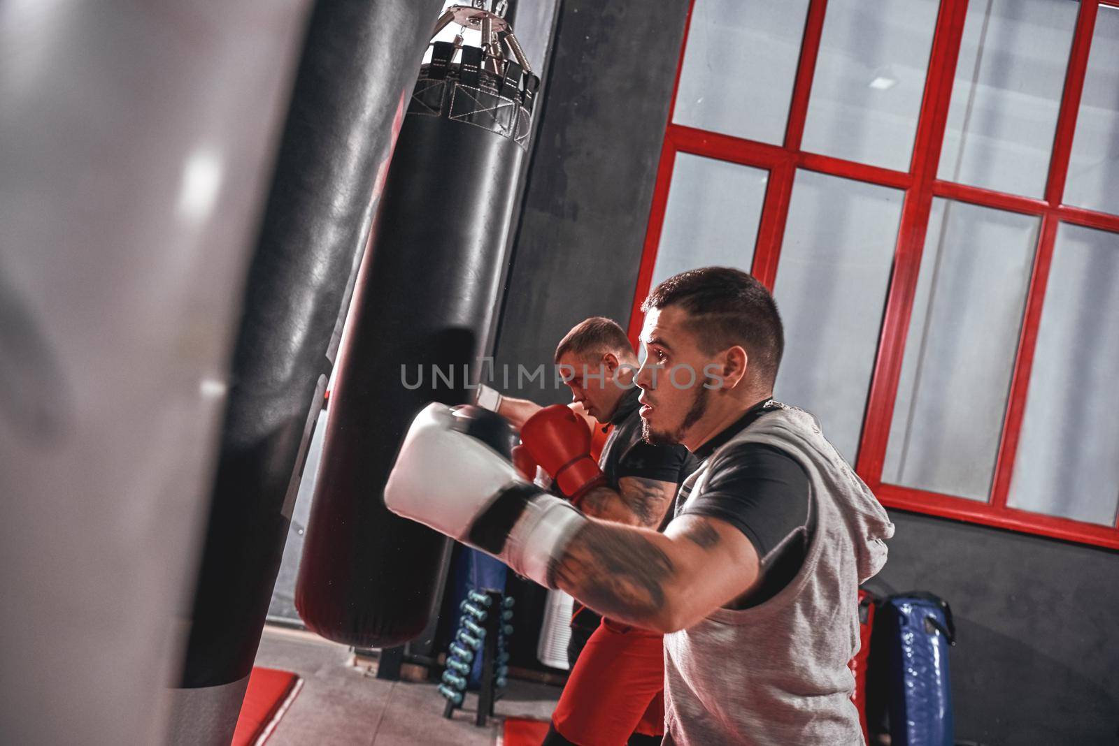 Handsome young tattooed sportsmen in sports clothing boxing hard on heavy punch bags in boxing gym, training before big fight in boxing gym