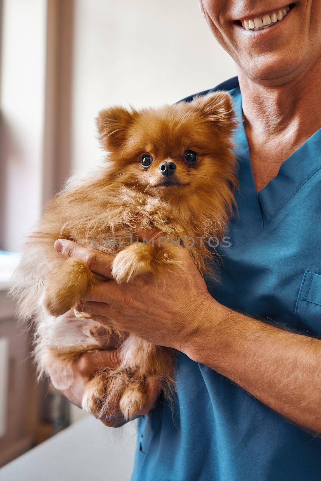 Before check-up. Cheerful male vet holding a cute little dog with scared eyes while standing at veterinary clinic. Pet care concept by friendsstock