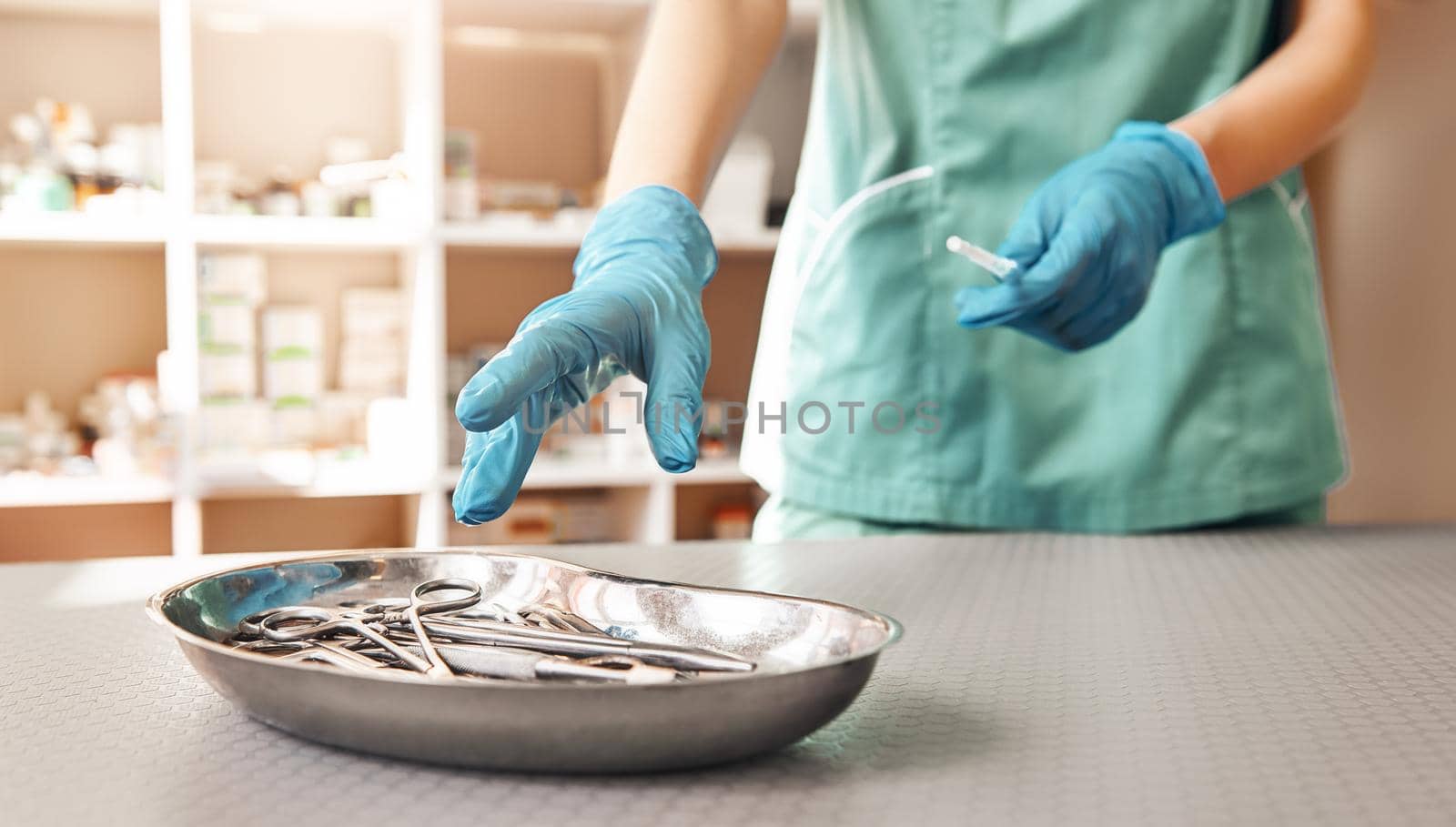 Choosing right tool. Vet hands in protective gloves taking metal tools for work with patient in the veterinary clinic. Medicine concept. Animal hospital. Medical equipment