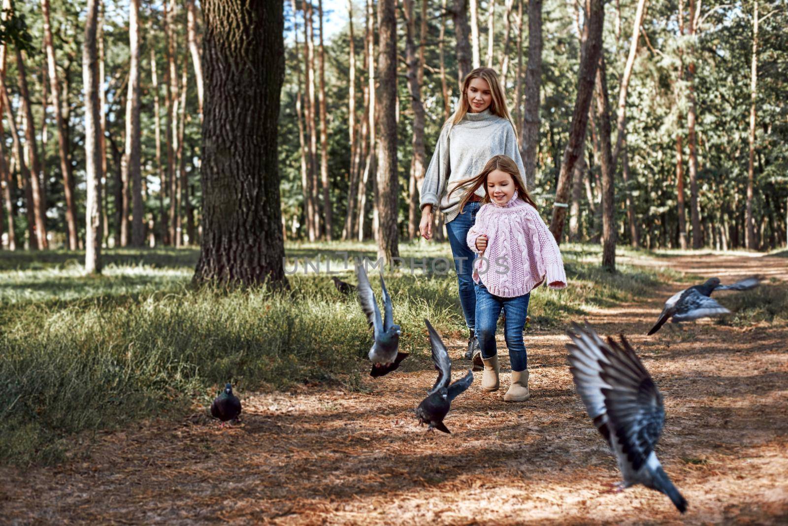 A little curly girl in sweater is catching pigeons with her mother in woods. Cold season, bright sun is seen through the trees. She is wearing pink sweater and young woman is in grey sweater