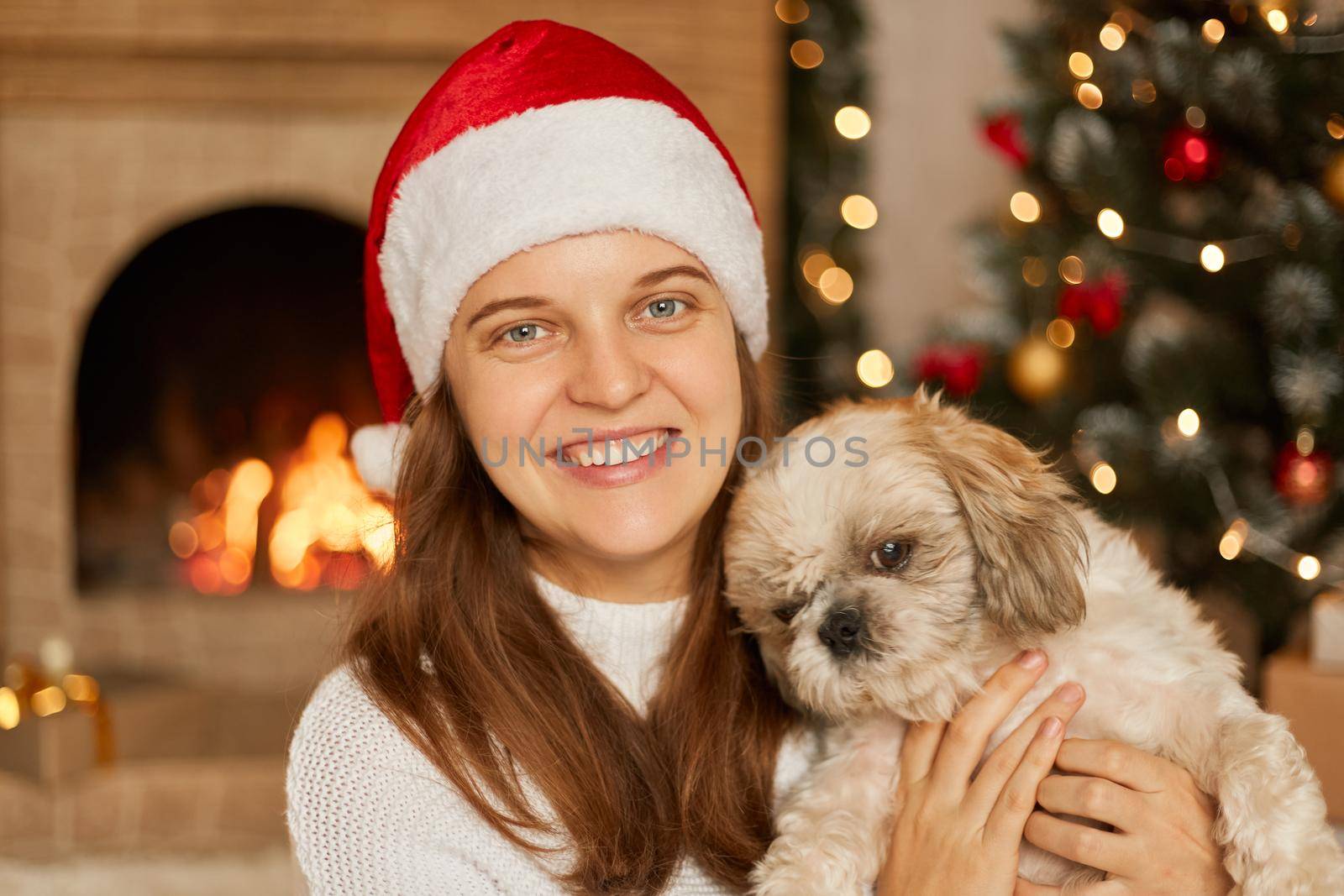 Woman with toothy smile hugging her small poodle dog, looks at camera, wearing christmas hat and white sweater, being in room decorated with lights, x-mas tree, posing near fireplace.