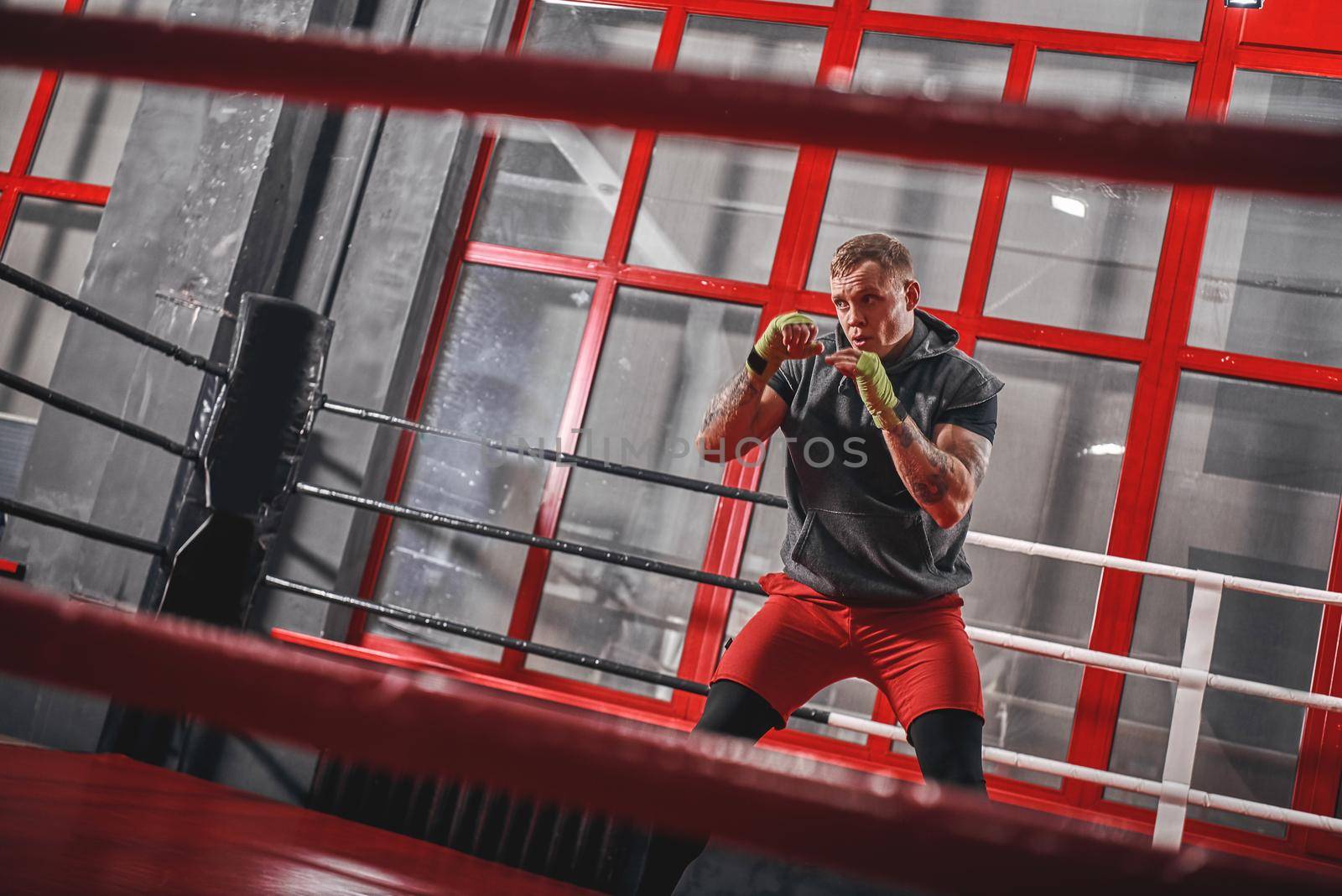 Training to be the best. Muscular tattooed boxer in sports clothing punching on red boxing ring while exercising in the gym by friendsstock