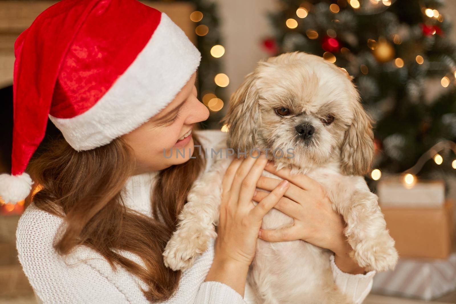 Happy woman with dog in christmas decoration posing indoor, lady wearing white jumper and red santa claus hat, looking at her puppy with smile, female with Pekingese celebrating holiday. by sementsovalesia