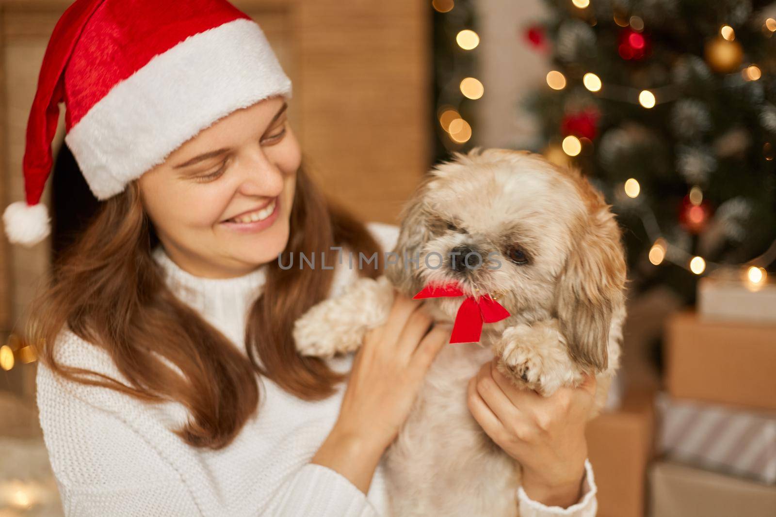 Small funny cute dog in woman on blurred Christmas background, puppy with red bow in teeth, smiling girl in santa claus hat playing with pet, expressing positive emotions.