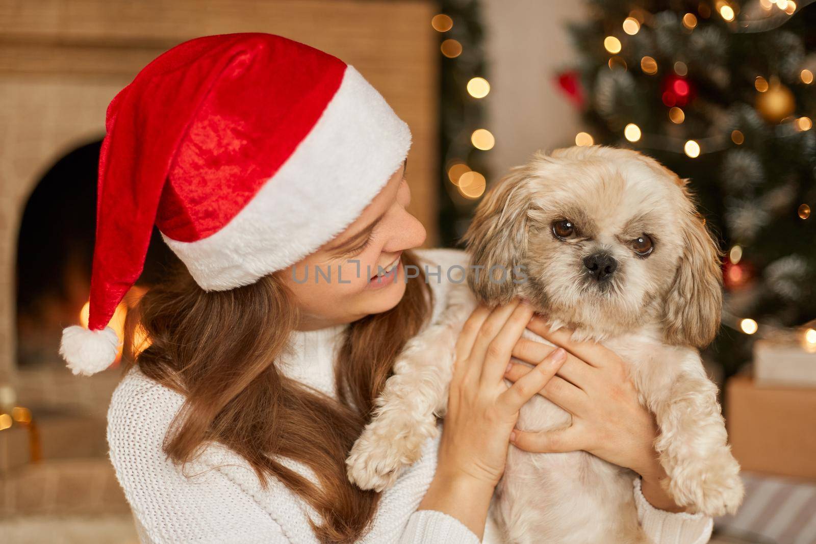 Happy girl in santa hat hugging with cute dog on background of beautiful christmas tree with lights in festive room, warm holiday atmospheric moments, pekingese with his owner in living room.