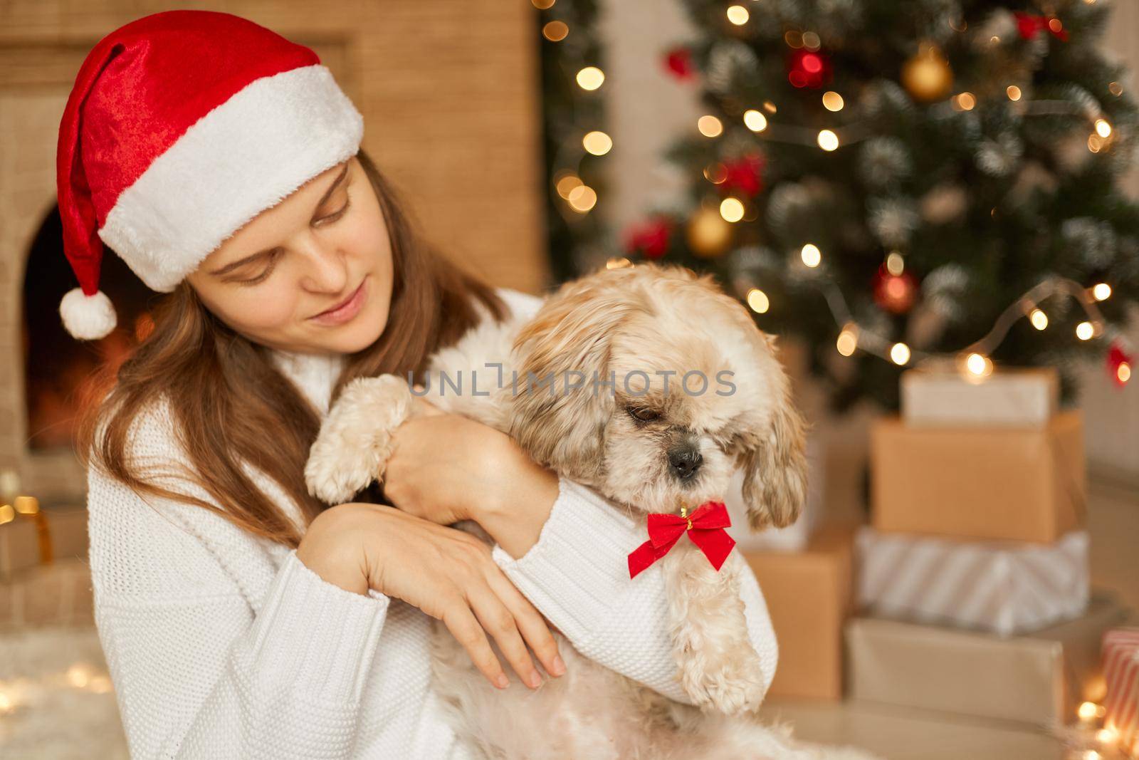 Pretty woman wears santa hat and white jumper, holds her dog, have fun together, spend winter holidays at home near decorated green Christmas tree and fireplace in living room.