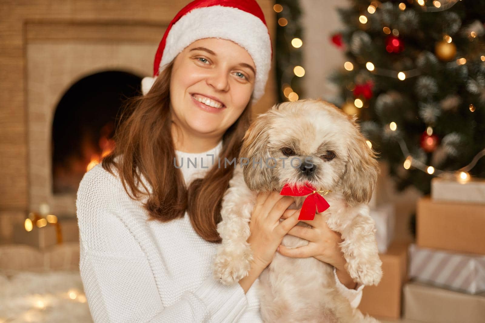 Cheerful young lady is enjoying time with her pet while posing in living room with x-mas tree and fireplace, woman wearing santa claus hat and white jumper, christmas atmosphere.