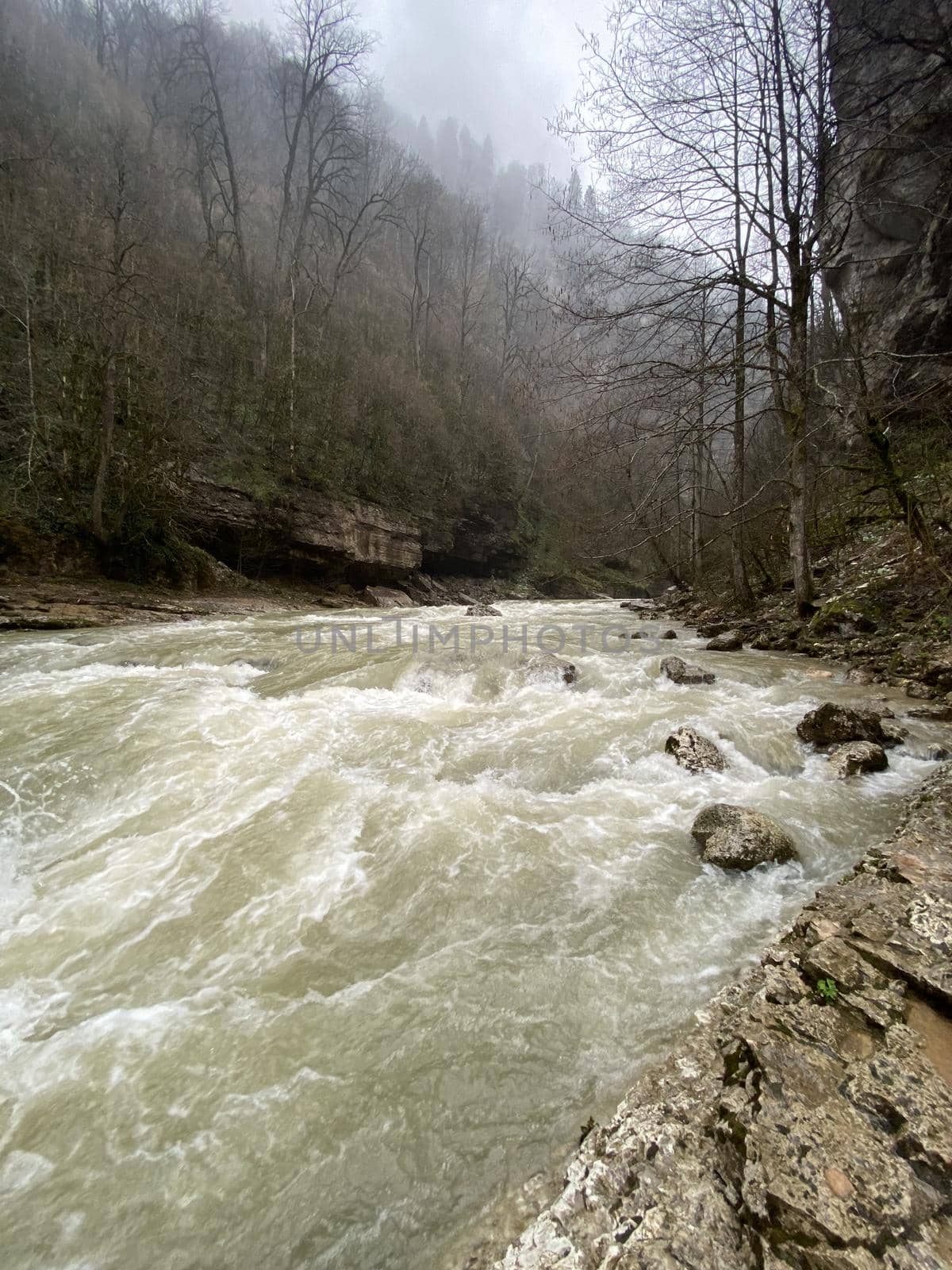 Beautiful landscape of mountain river in amazing and mysterious nature. Mountain waterway flowing through mountainous terrain