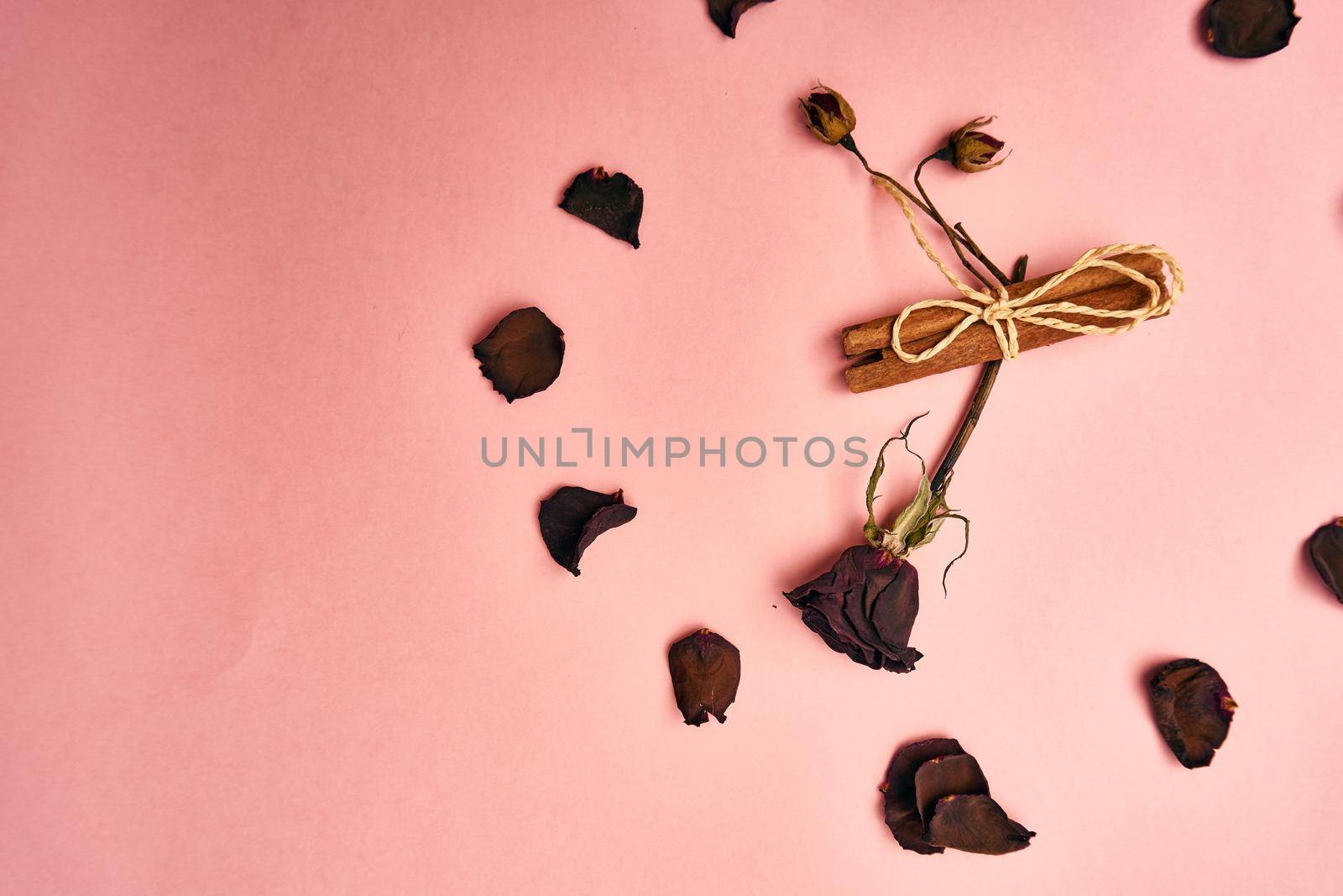 flowers decoration cinnamon pink background top view. High quality photo