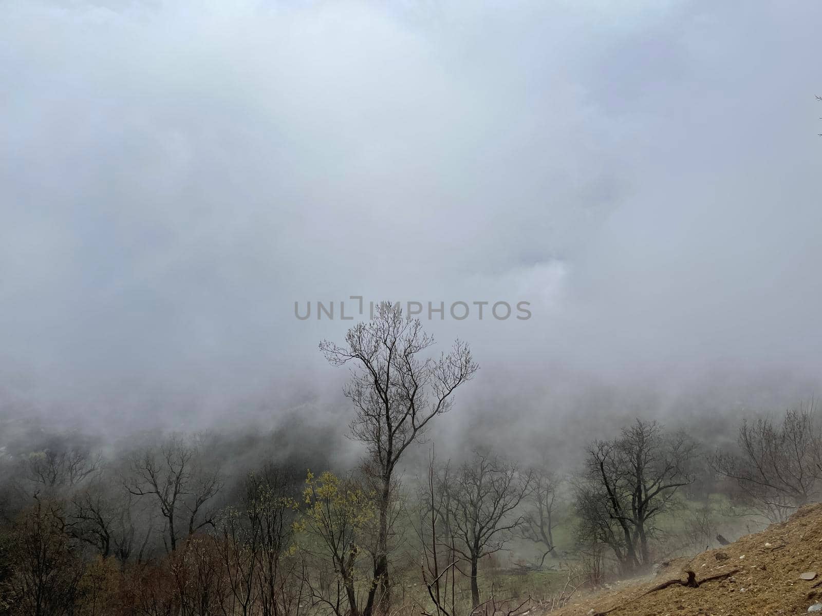 Beautiful landscape of mountainous terrain in fog. Nature background of hilly area in foggy and cloudy weather