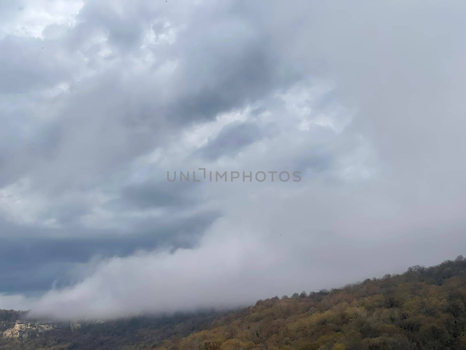 Beautiful landscape of mountainous terrain in fog. Nature background of hilly area in foggy and cloudy weather. by epidemiks
