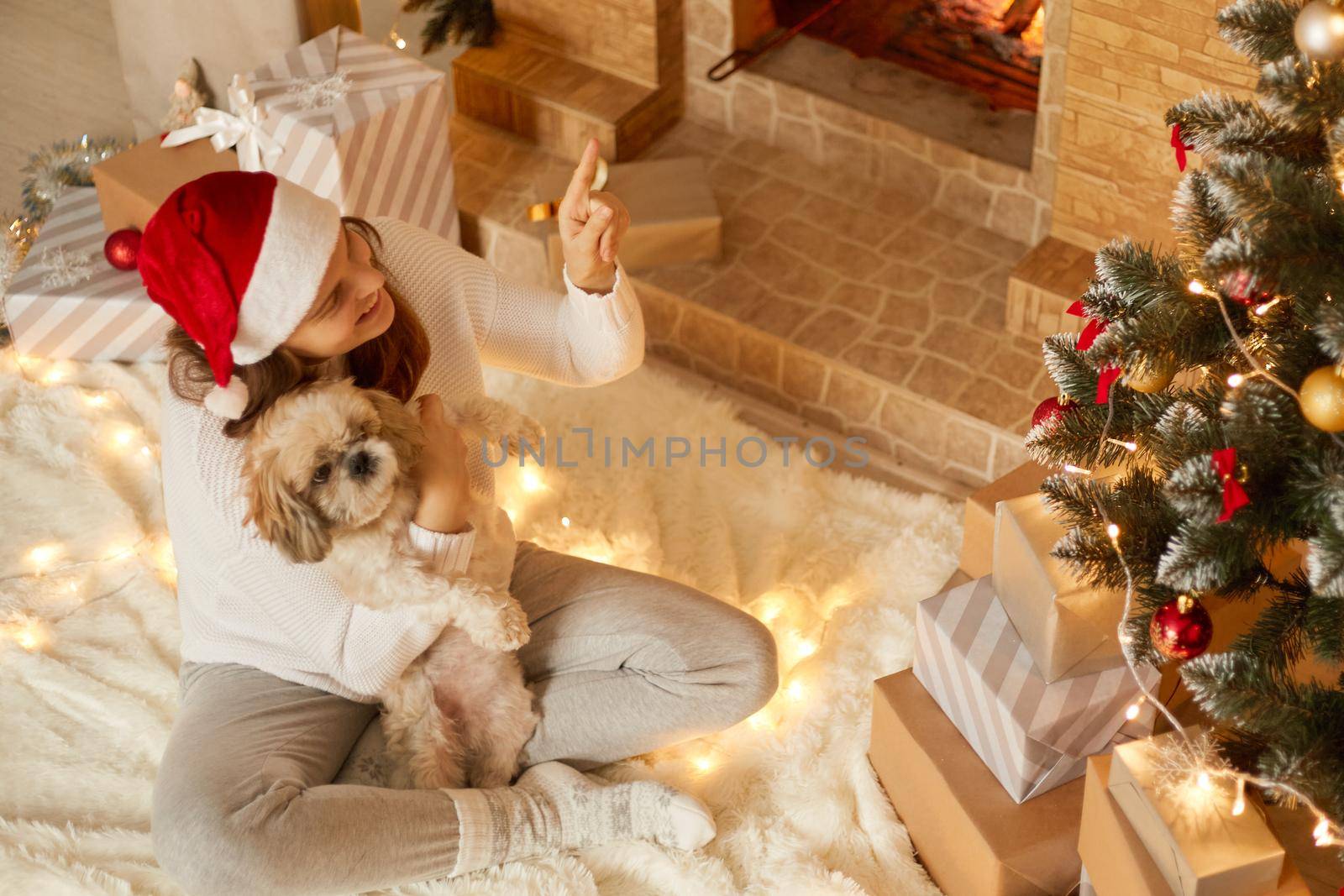 Smiling lady with Pekingese dog in hands pointing finger up and showing something to her pet, female with crossed legs sitting on carpet near fireplace and hugging he puppy.