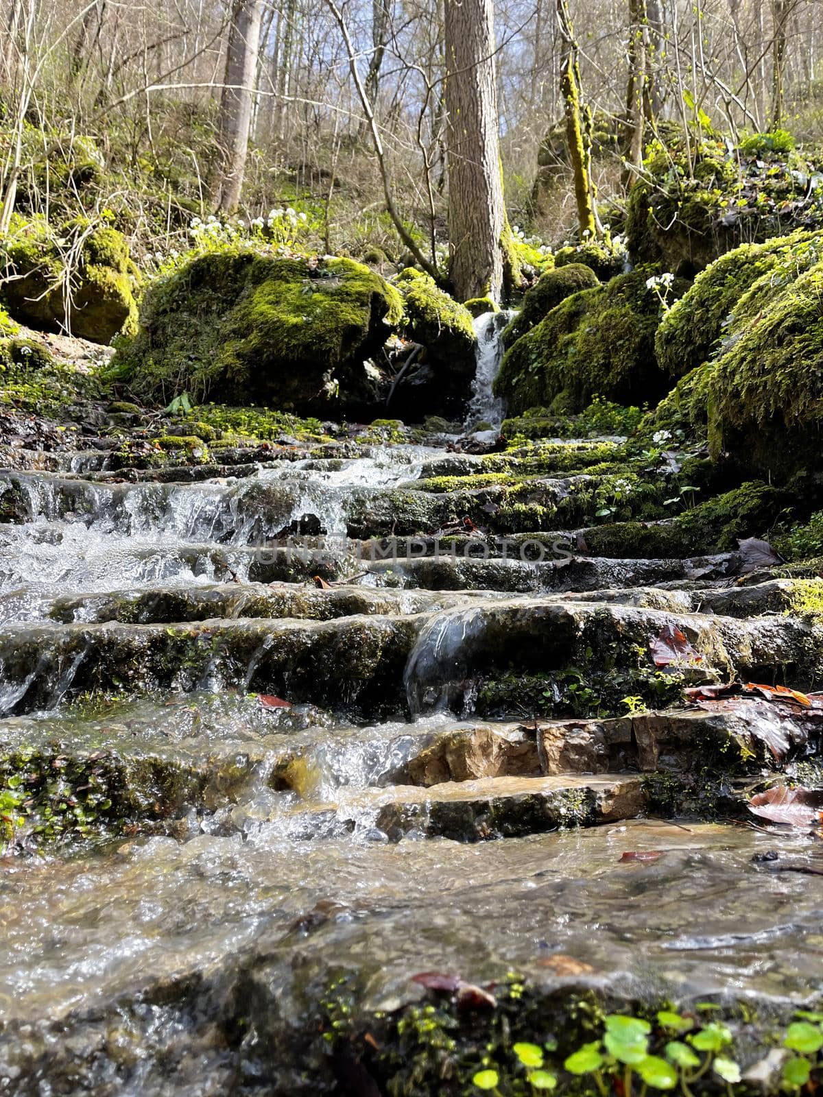 Beautiful landscape of mountain stream flowing down stone steps. Mountain waterway flowing down natural stairs in picturesque place. by epidemiks