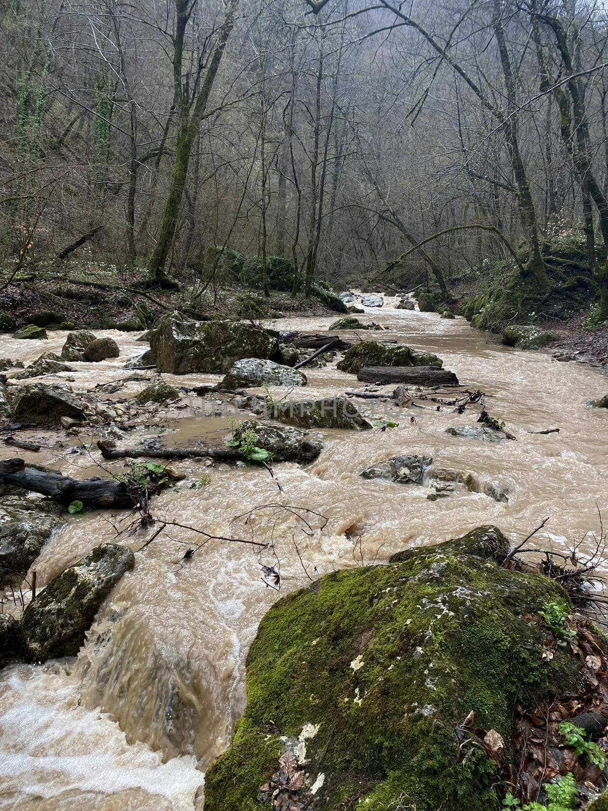 Beautiful landscape of mountain river in amazing and mysterious nature. Mountain waterway flowing through mountainous terrain. by epidemiks