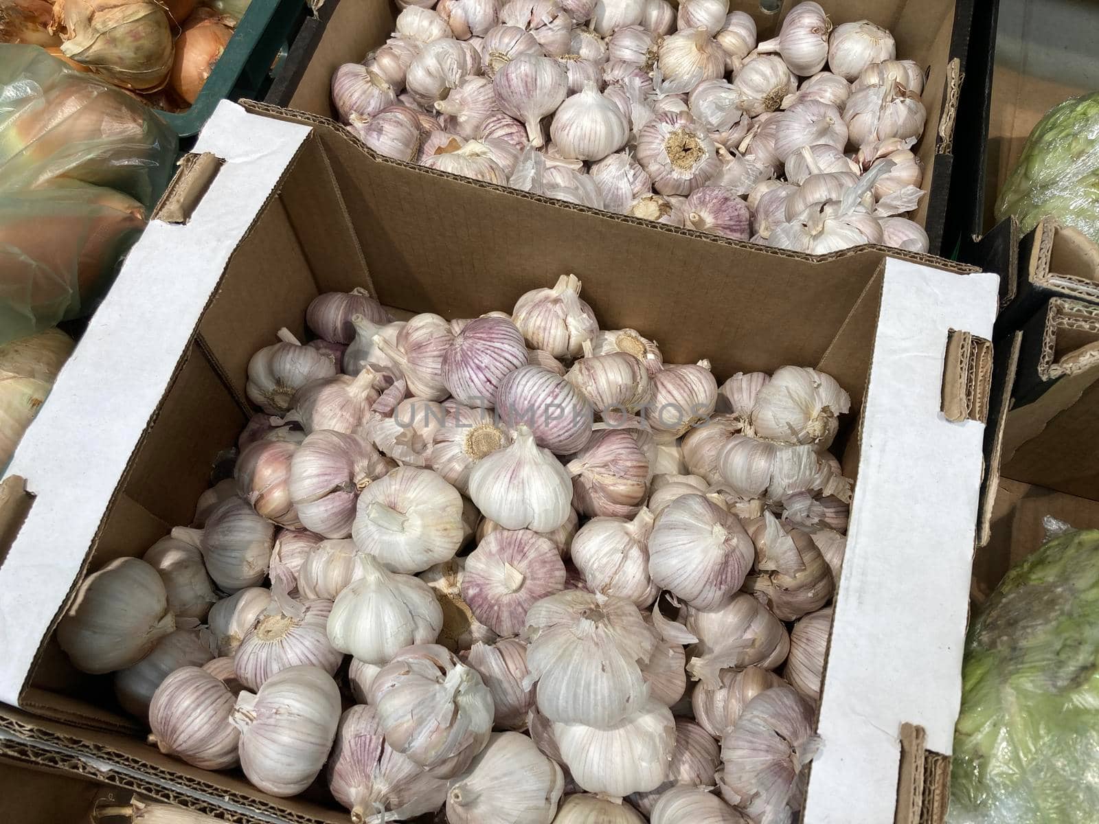 Close up of garlic in boxes on supermarket counter. Concept of agriculture, organic food and useful substances. by epidemiks
