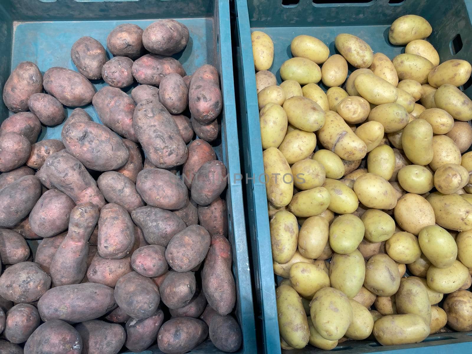 Close up of various potatoes in plastic boxes on supermarket counter. Concept of agriculture and organic food
