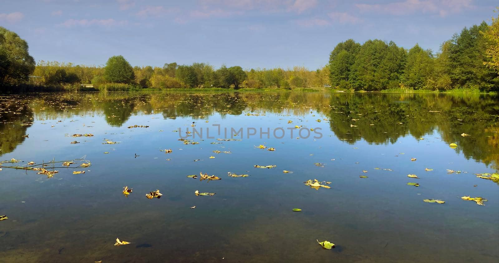 Calm pond in countryside. Amazing lake with tranquil water located near green forest in nature by epidemiks