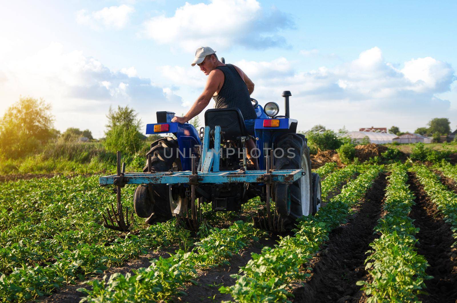 The farmer works in the field with a tractor. Agroindustry and agribusiness. Farming machinery. Plowing and loosening ground. Crop care, soil quality improvement. Farm field work cultivation. by iLixe48