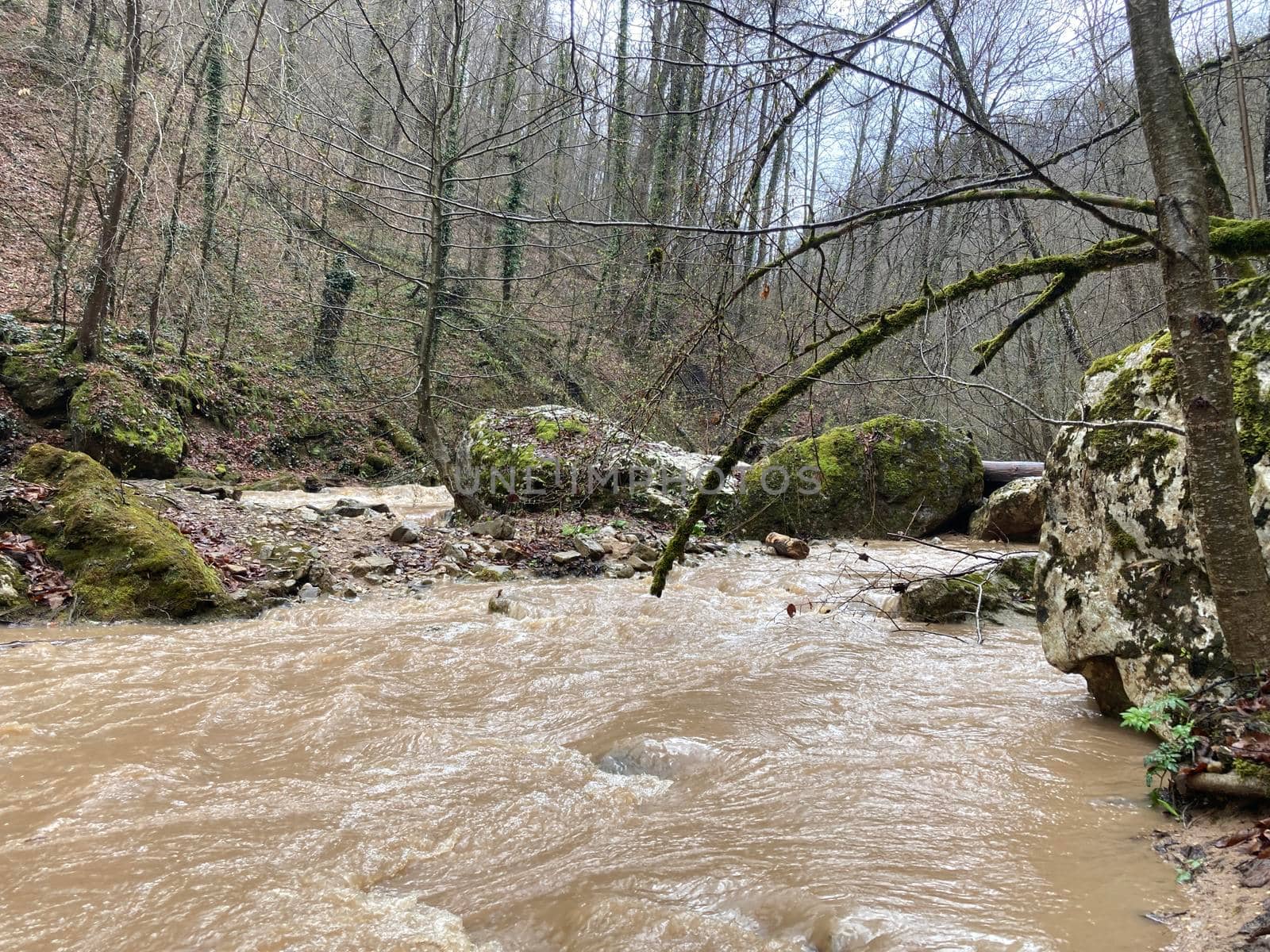 Beautiful landscape of mountain river in amazing and mysterious nature. Mountain waterway flowing through mountainous terrain