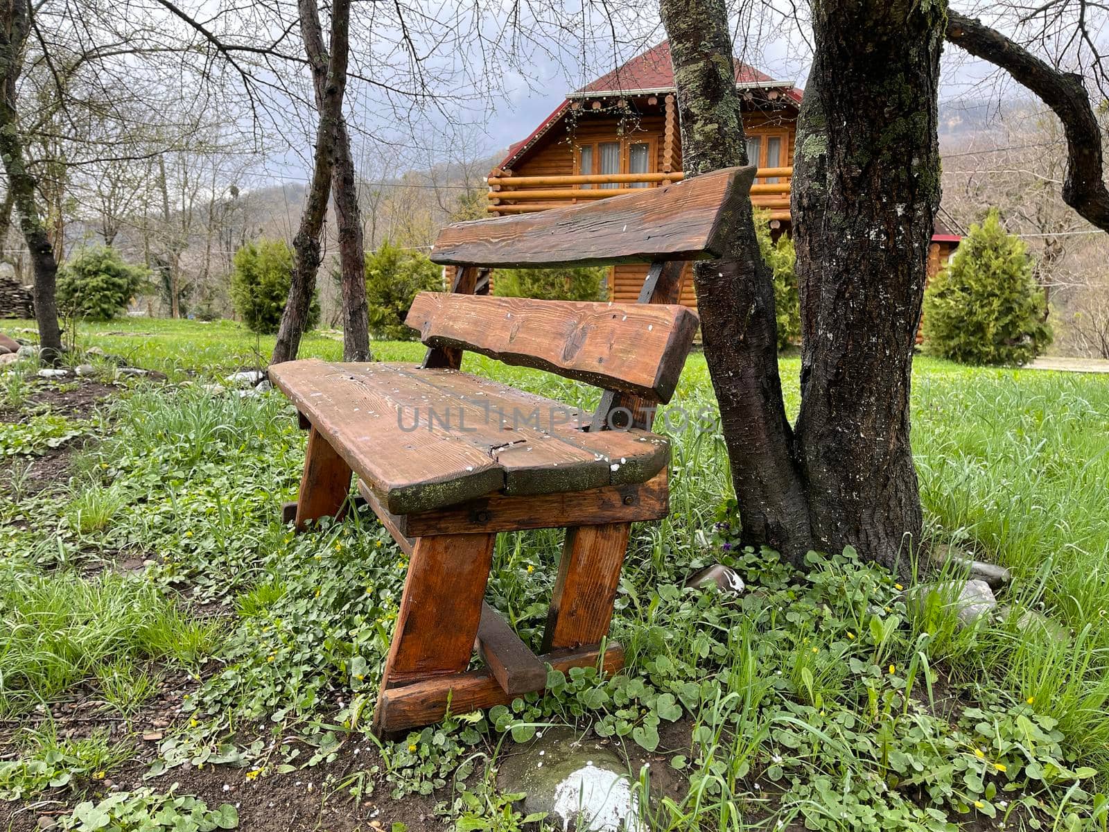 Close up of wooden bench near tree in countryside. Wooden pew on lawn for outdoor recreation
