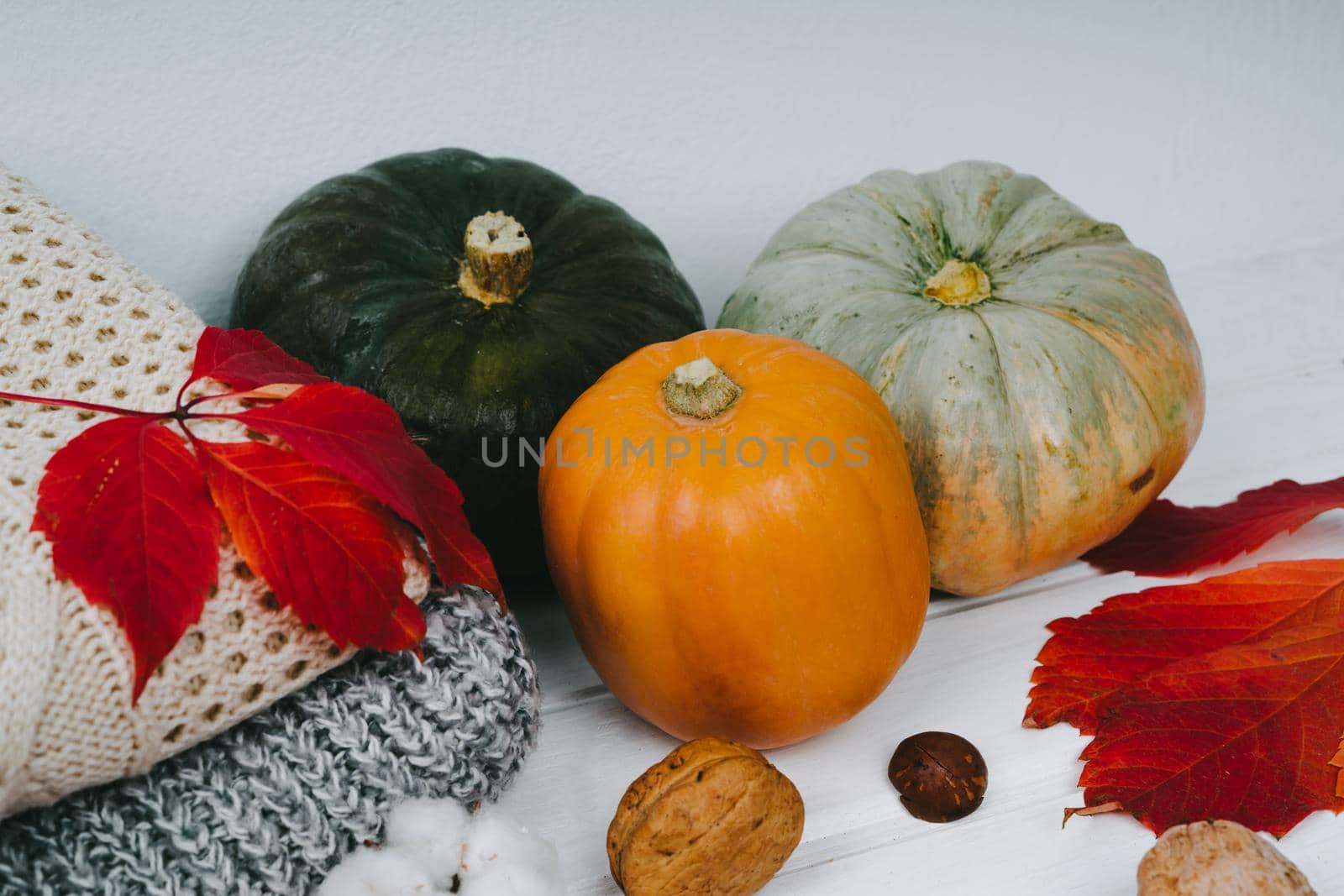 Autumn composition of sweaters and pumpkins lie on a wooden white table. by Rodnova