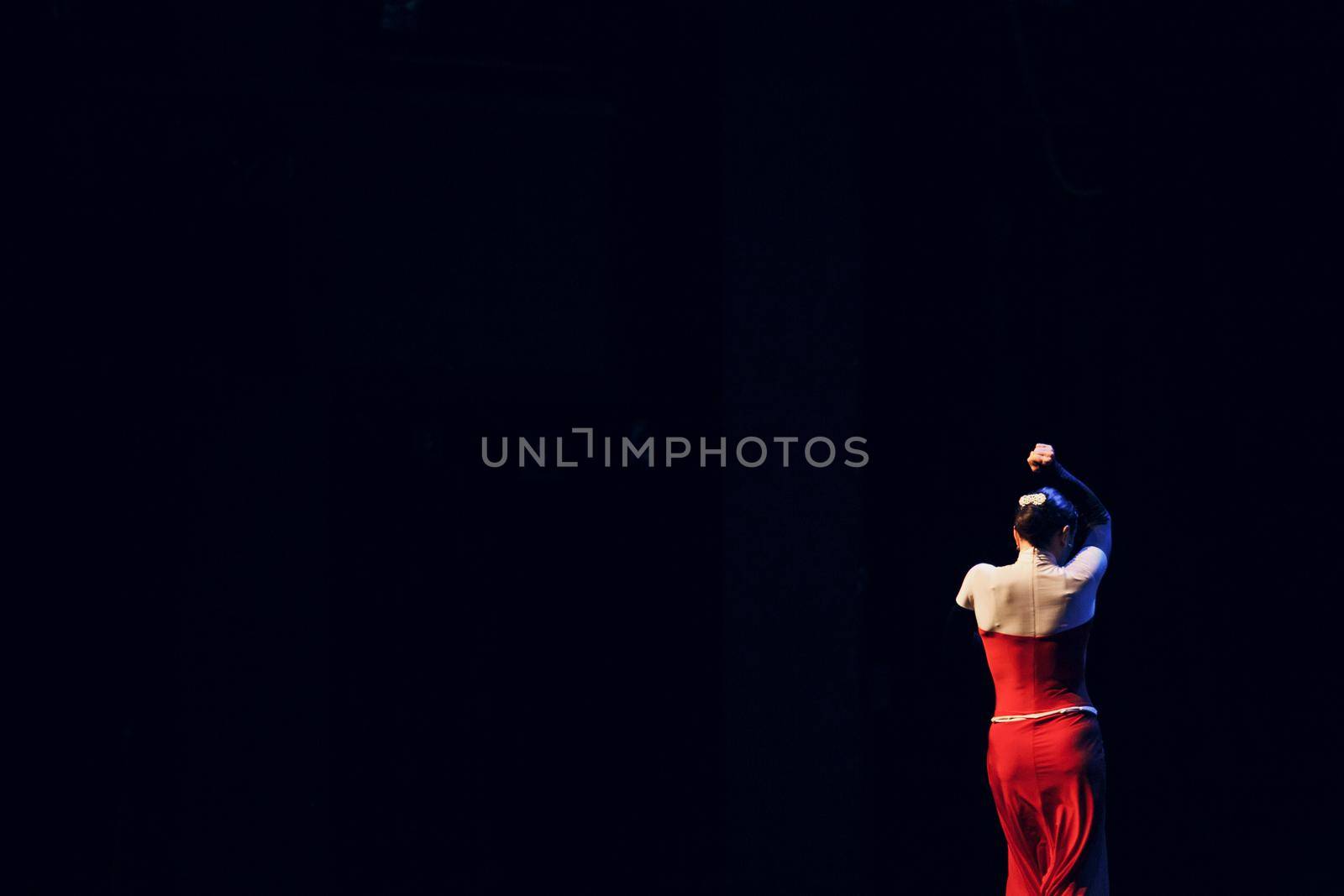Flamenco. Performance on stage. by primipil