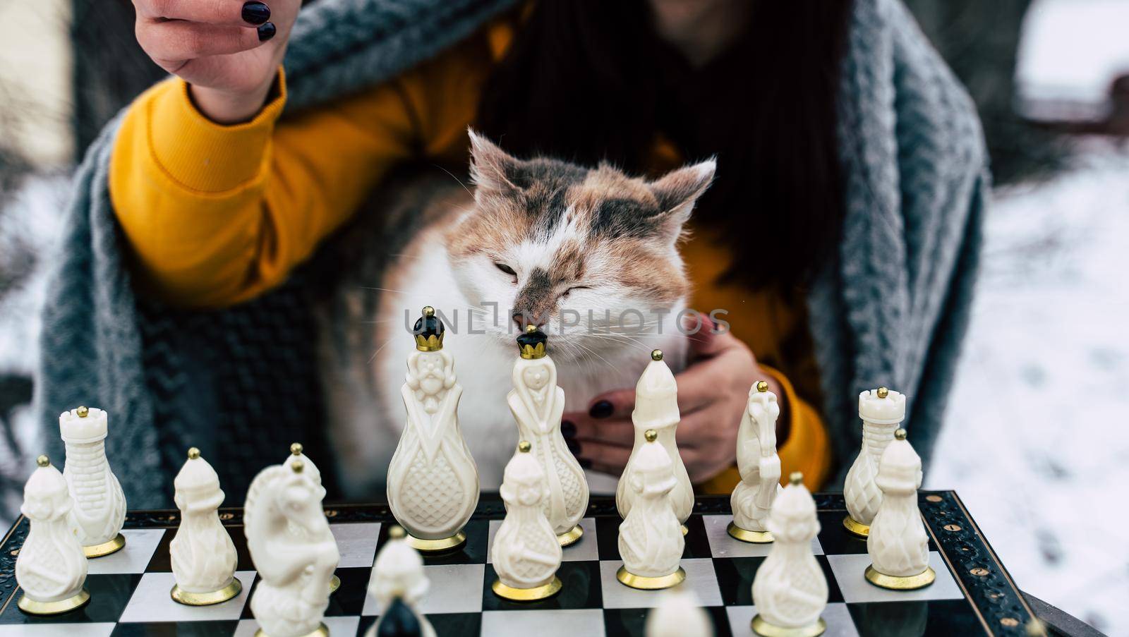 Young woman sitting with cat and playing chess in yard. Female wrapped in grey plaid sitting on street with pet and playing in board game in winter season. by epidemiks