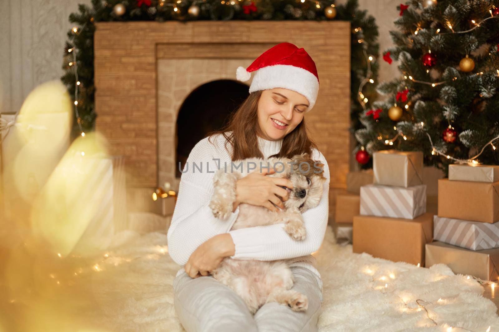 Girl with Pekingese dog on background of Christmas decorations and fireplace, woman with puppy sitting on floor on soft carpet, female wearing white casual jumper and red hat.