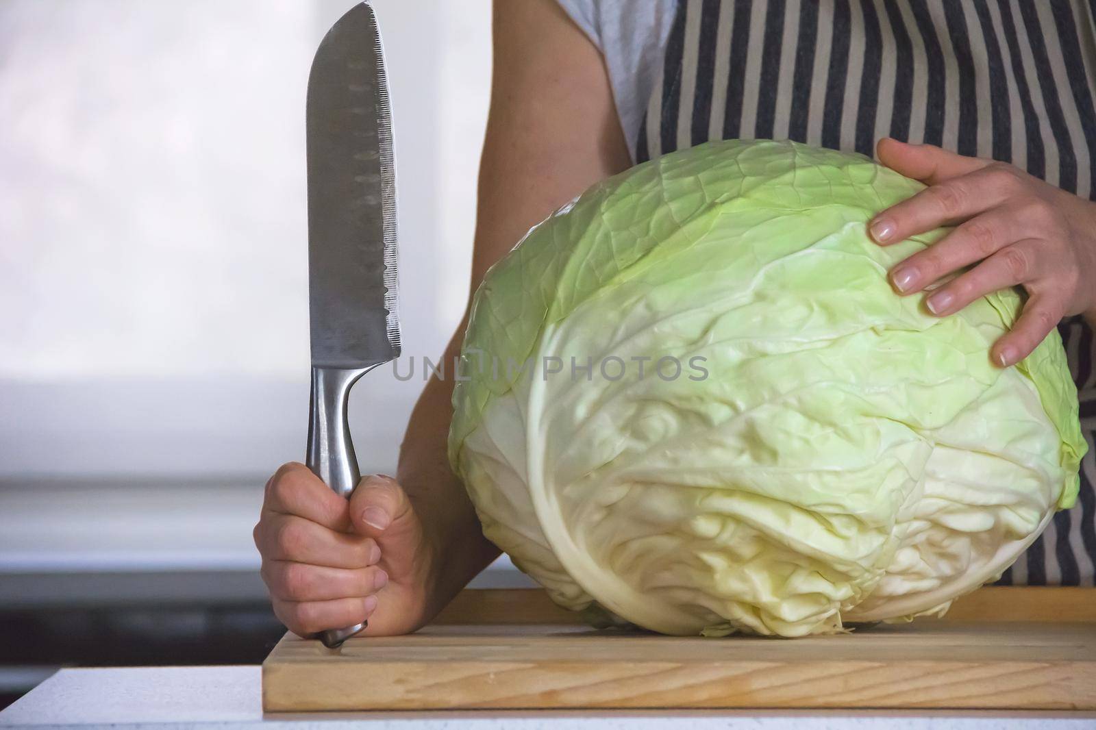 huge head of juicy cabbage lies on a cutting board, a woman holds a large vegetable knife in her hands. Cooking sauerkraut.